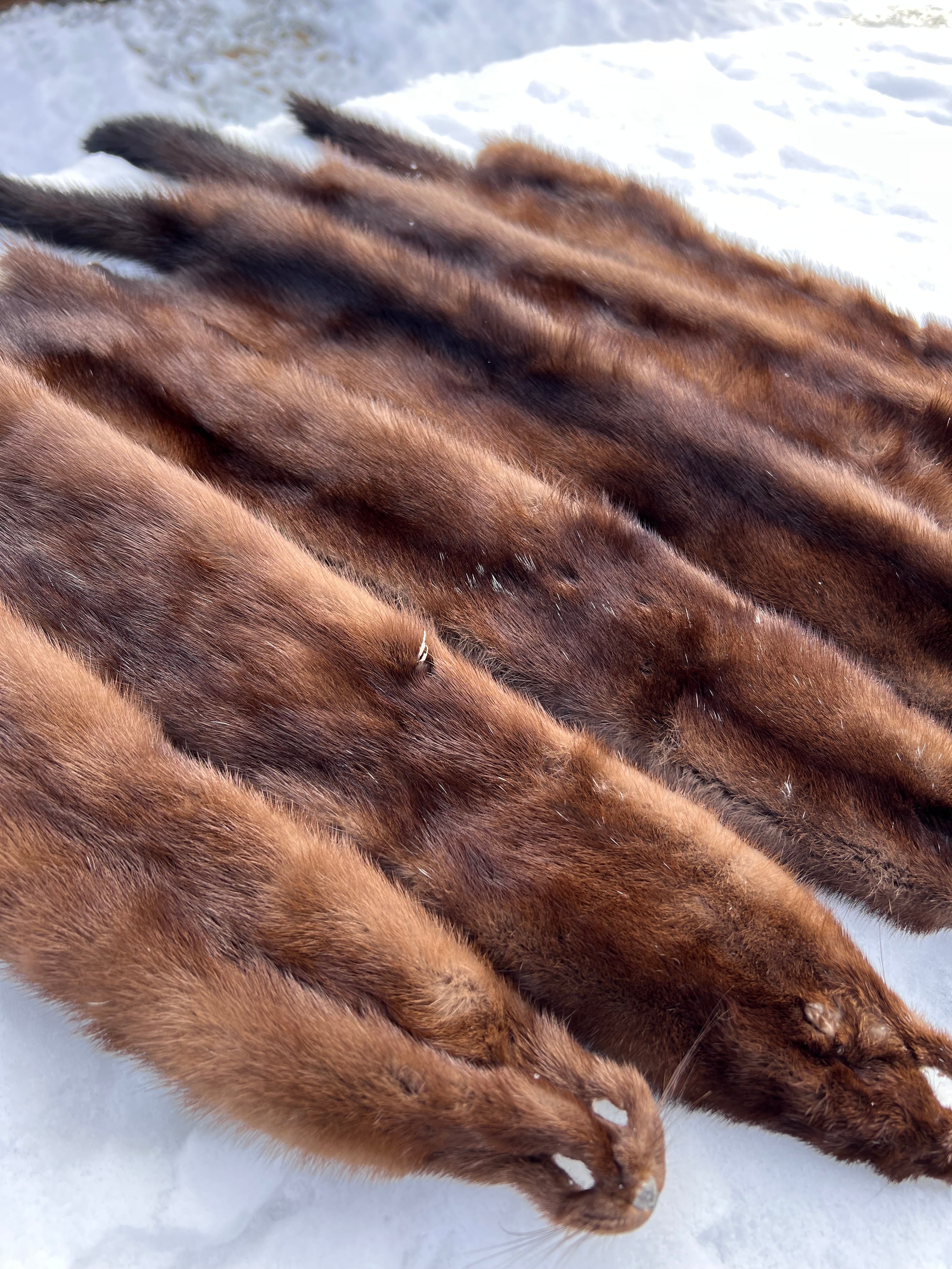 Maine Wild Mink Pelt - Prime, Professionally Garment Soft Tanned