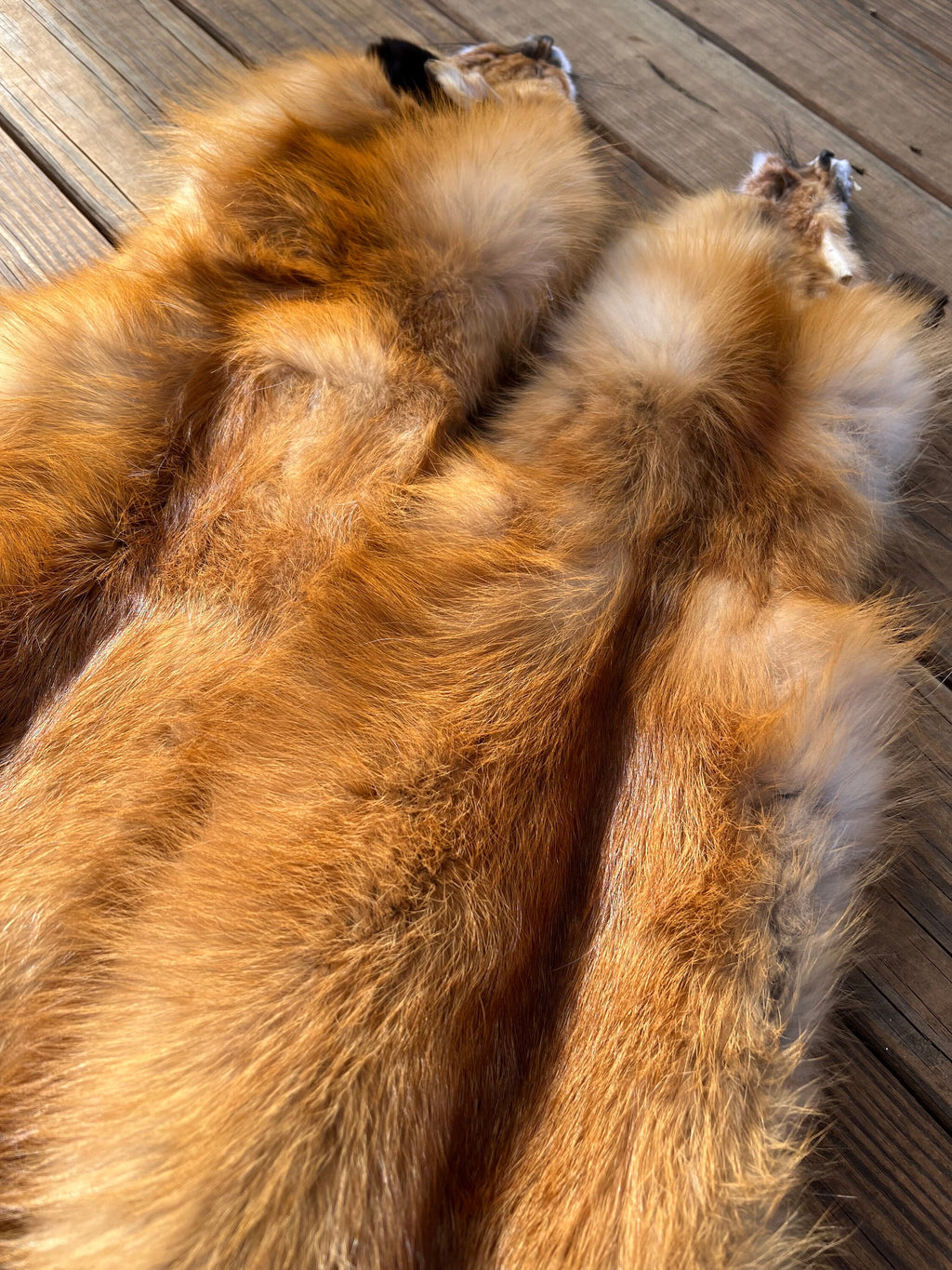 Maine Red Fox Pelt, Prime, Professionally Soft Tanned/Garment Tanned