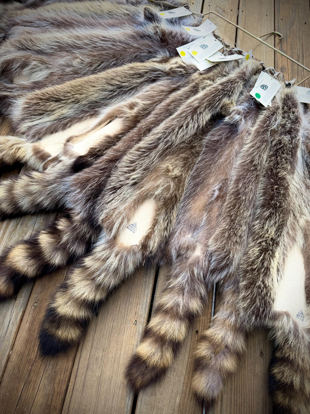 Maine Raccoon Pelt, Prime Northern Heavy Raccoon, Professionally Soft Tanned