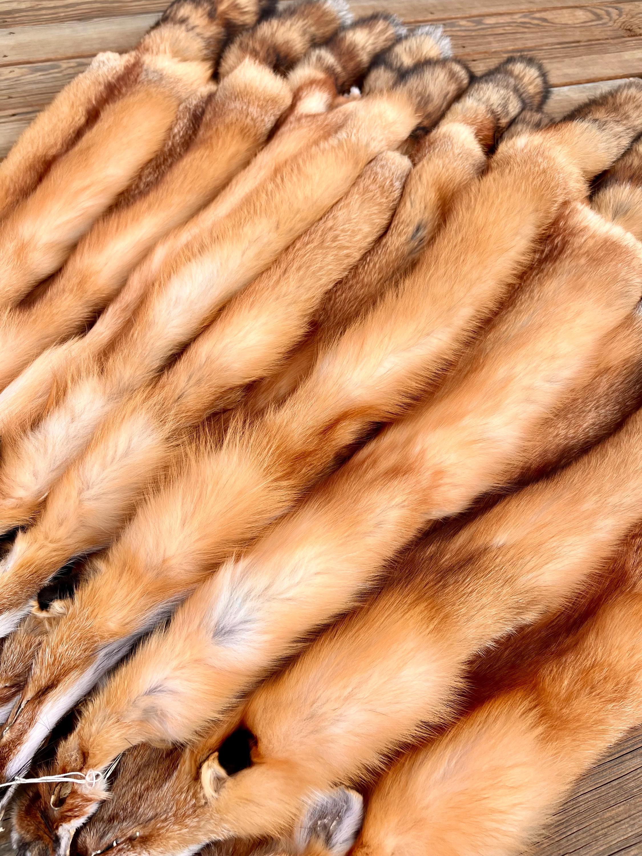 Maine Red Fox Pelt, Prime, Professionally Soft Tanned/Garment Tanned