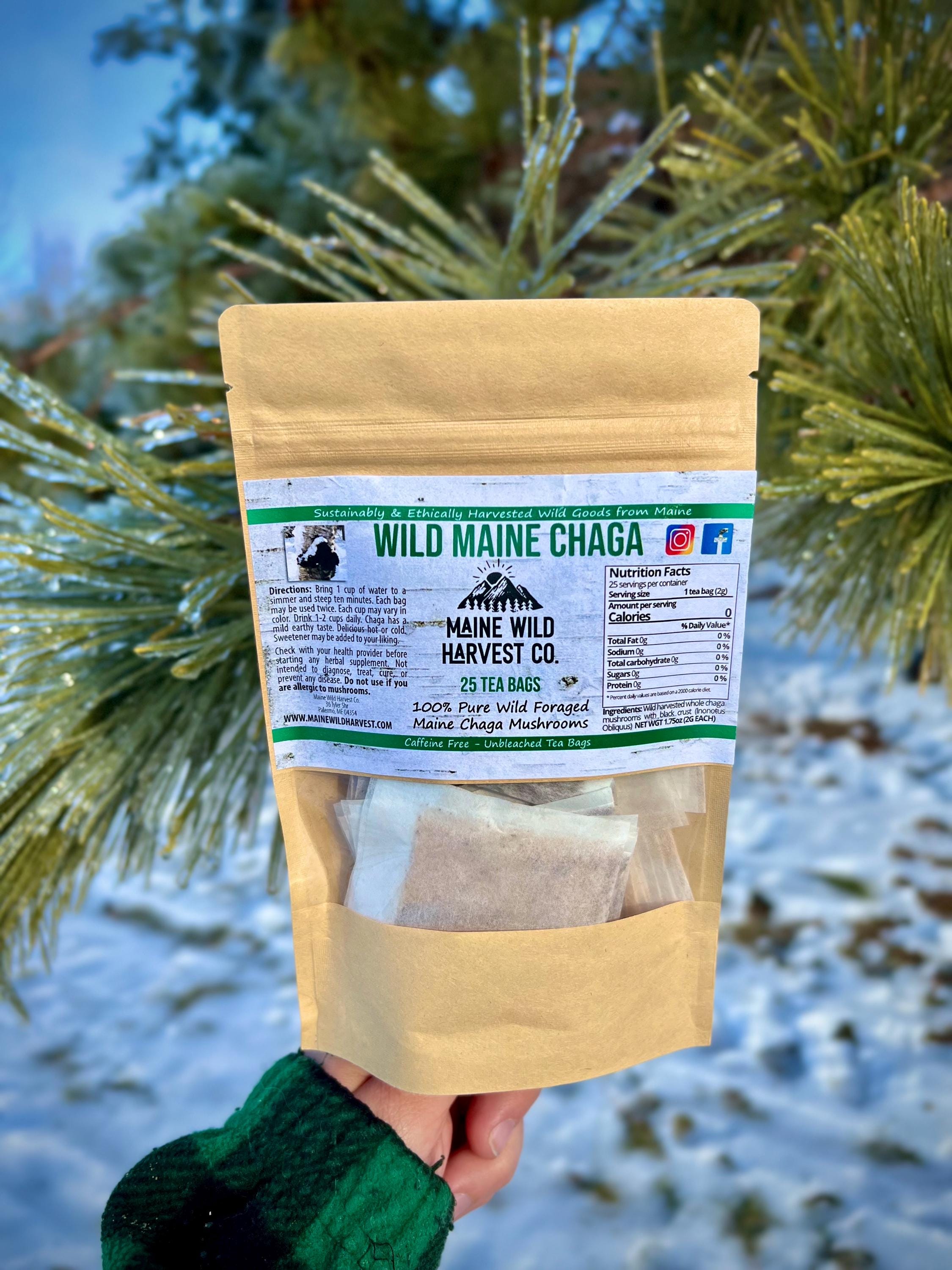 Wild Maine Chaga Tea Bags (25ct) - All Natural