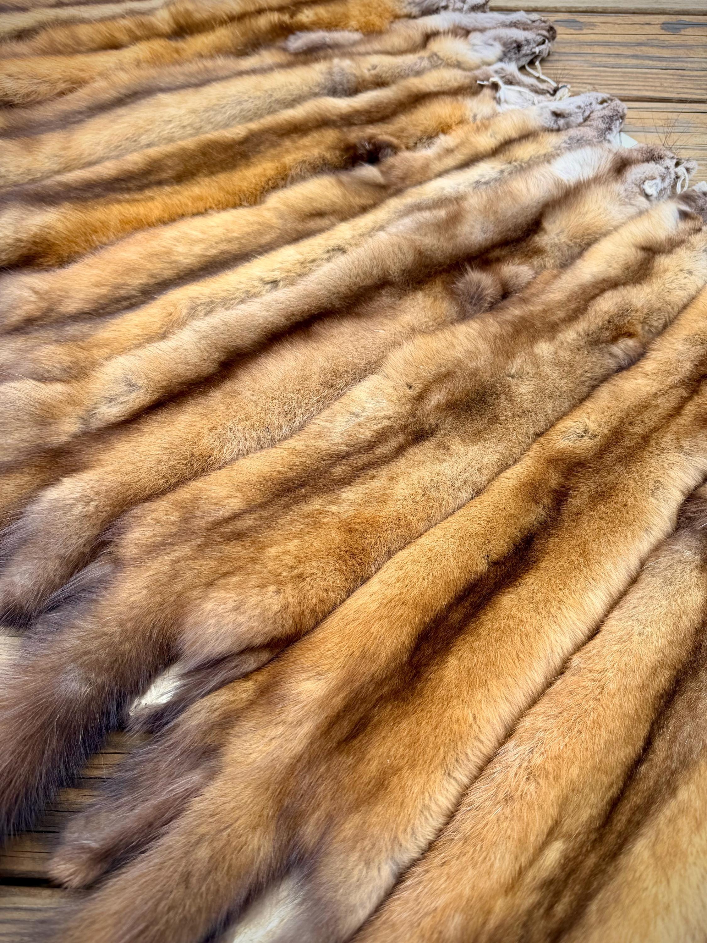 Maine Pine Marten/Sable (Light Color Phase) Pelts - Prime, Northern Maine, Professionally Garment Tanned