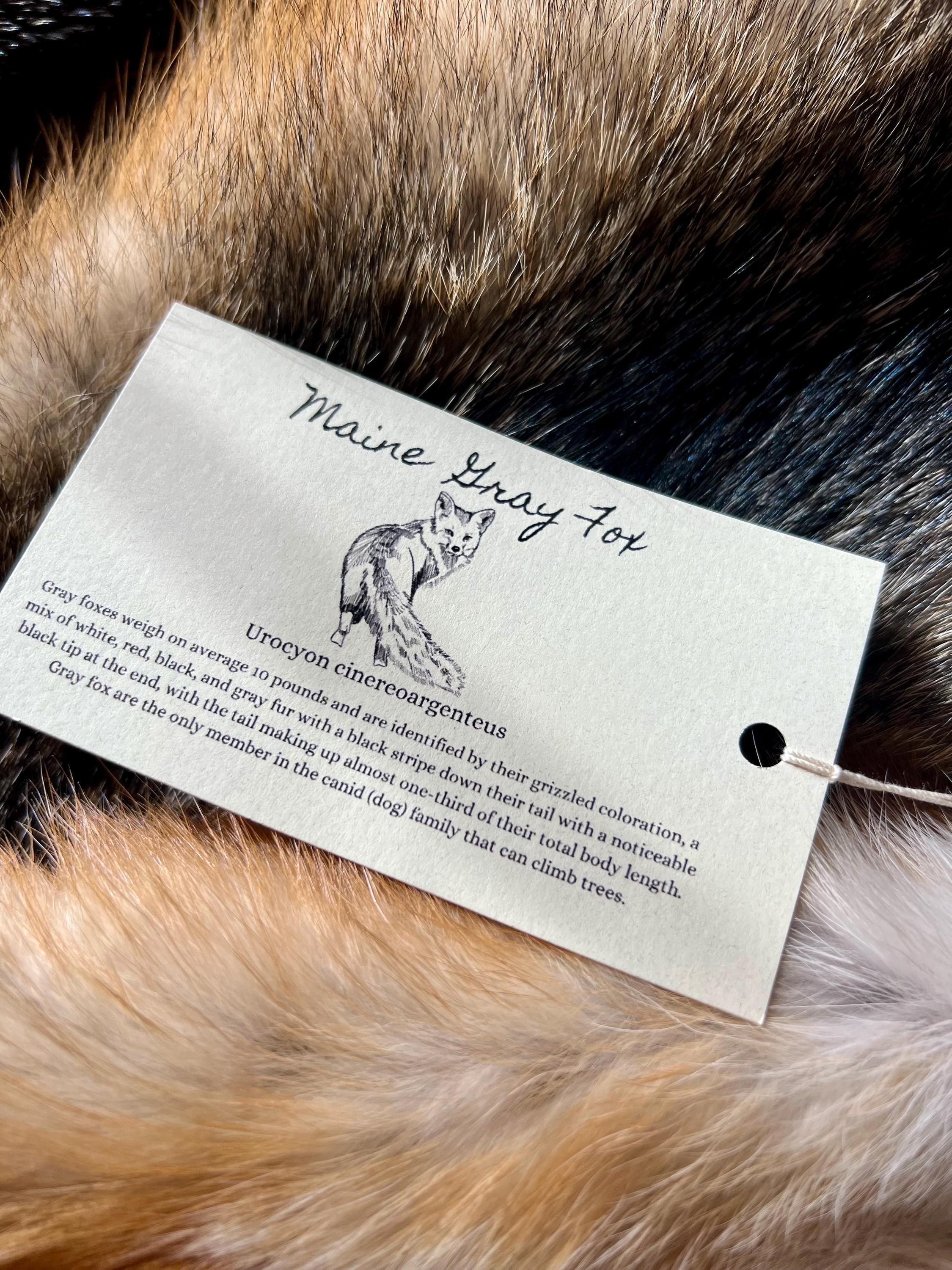 Maine Gray Fox Pelt, Prime, Northern, Professionally Soft Tanned