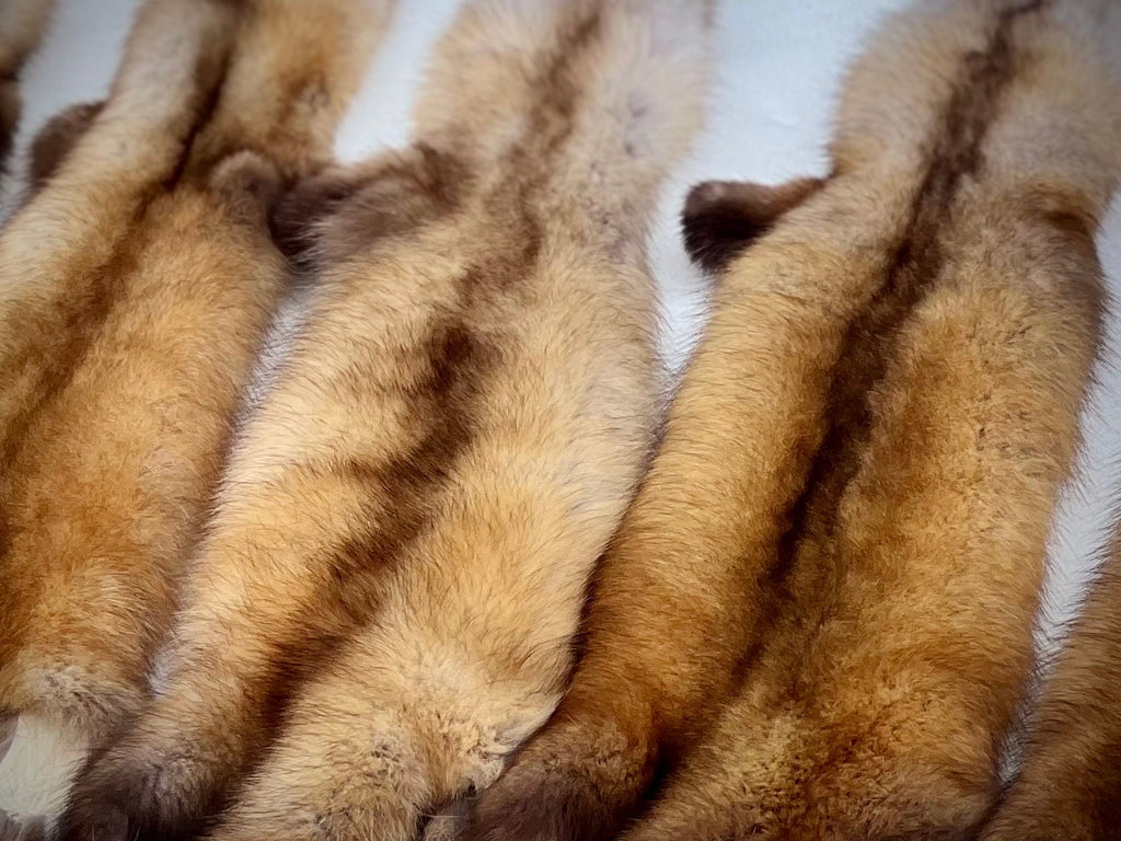 Maine Pine Marten/Sable (Light Color Phase) Pelts - Prime, Northern Maine, Professionally Garment Tanned