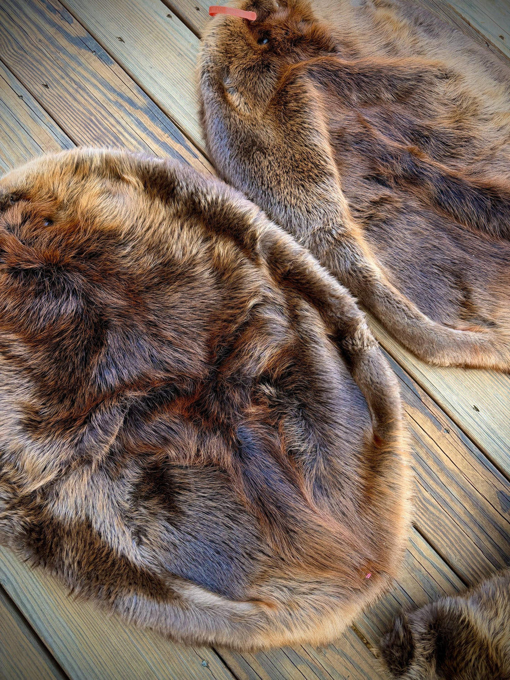 Maine Beaver Pelt, Prime Northern Heavy Beaver, Professionally Soft Tanned