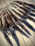 Maine Fisher Pelt (Male) - Prime, Professionally Soft Tanned/Garment Tanned