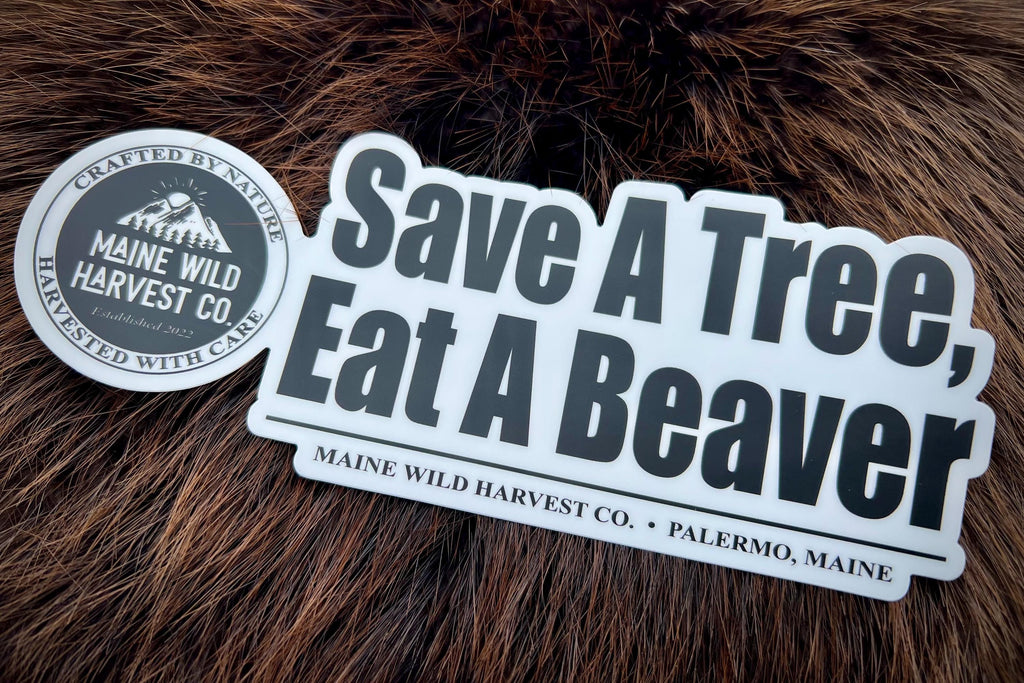 Save A Tree, Eat A Beaver Sticker - 7.5” x 3”
