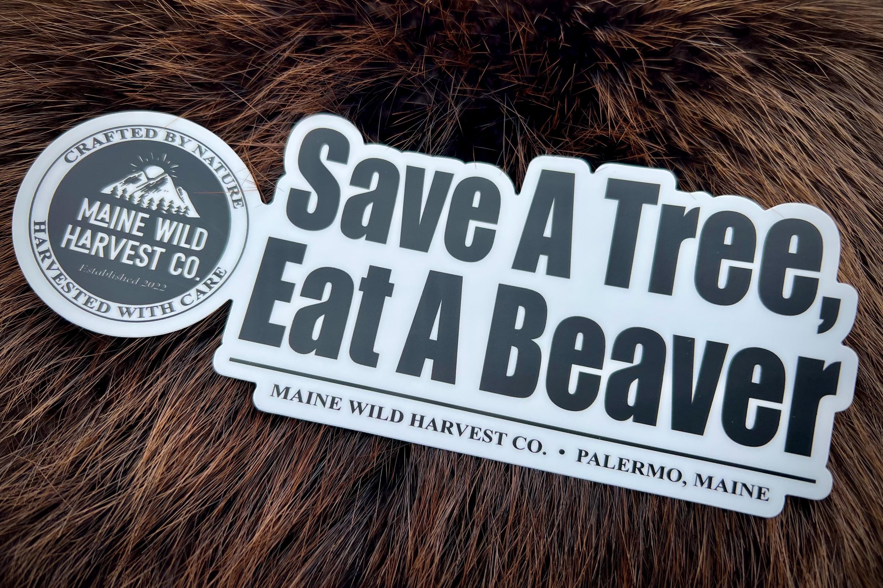 Save A Tree, Eat A Beaver Sticker - 7.5” x 3”