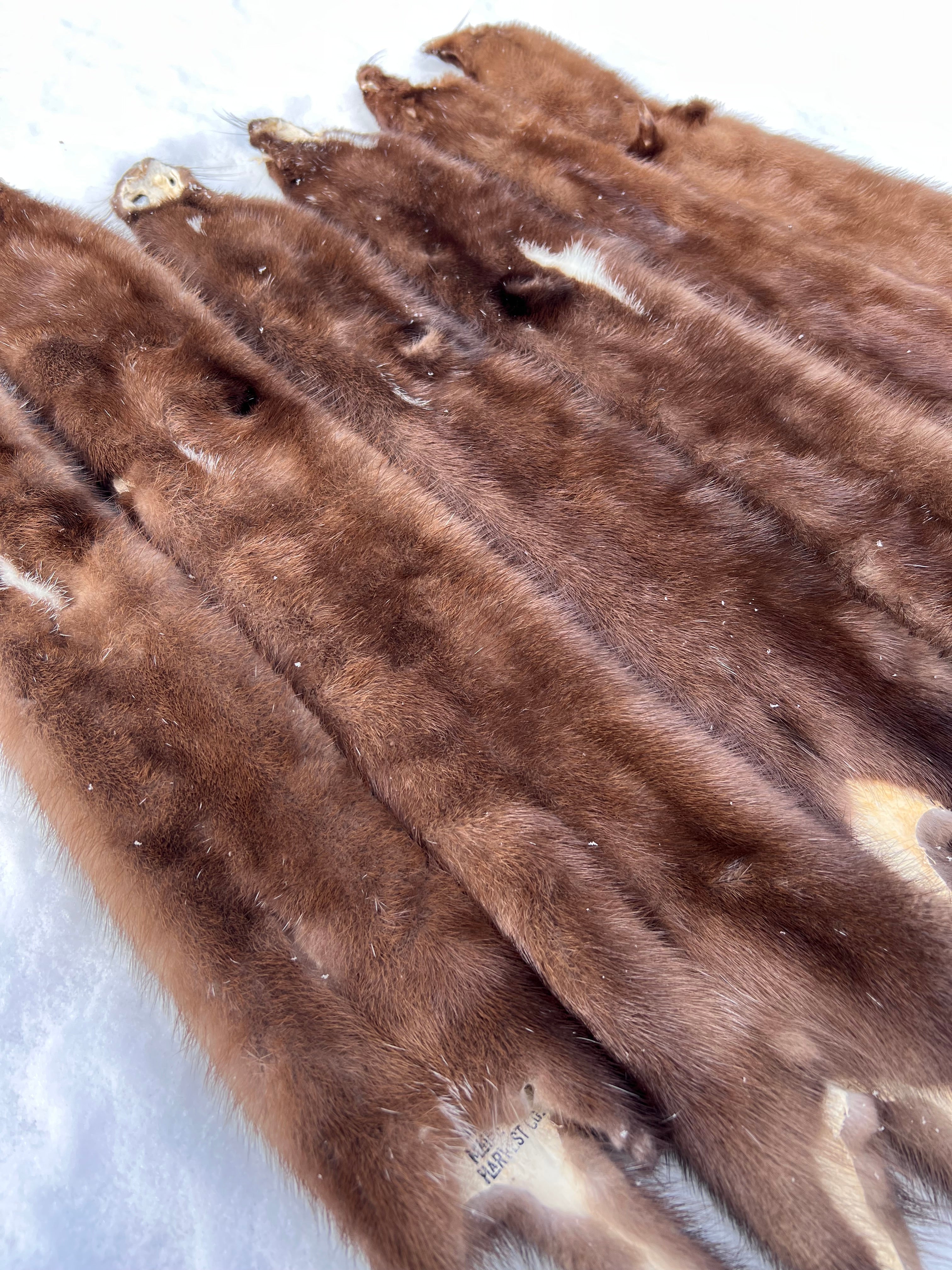 Maine Wild Mink Pelt - Prime, Professionally Garment Soft Tanned