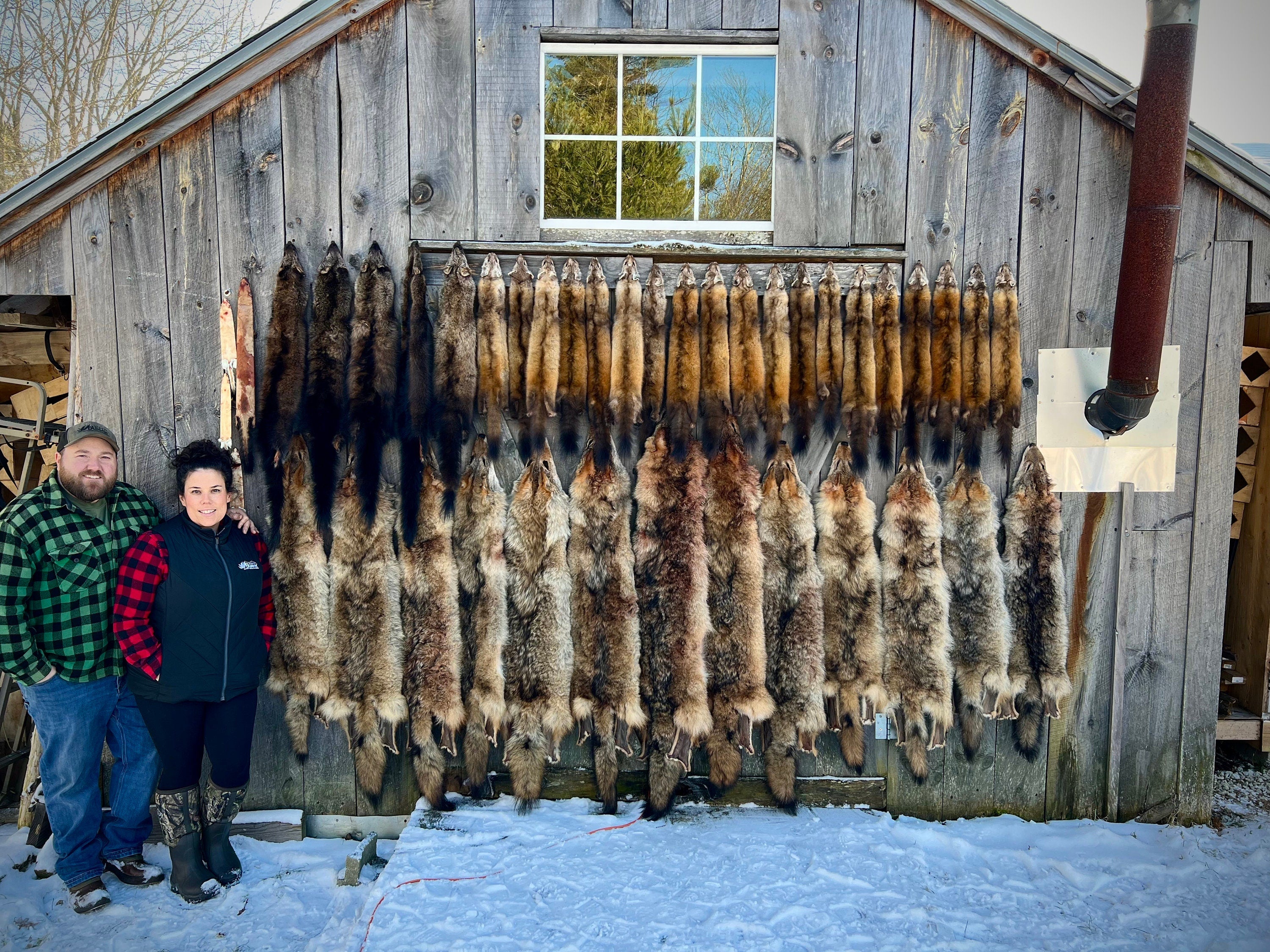 Maine Fisher Pelt (Male) - Prime, Professionally Soft Tanned/Garment Tanned