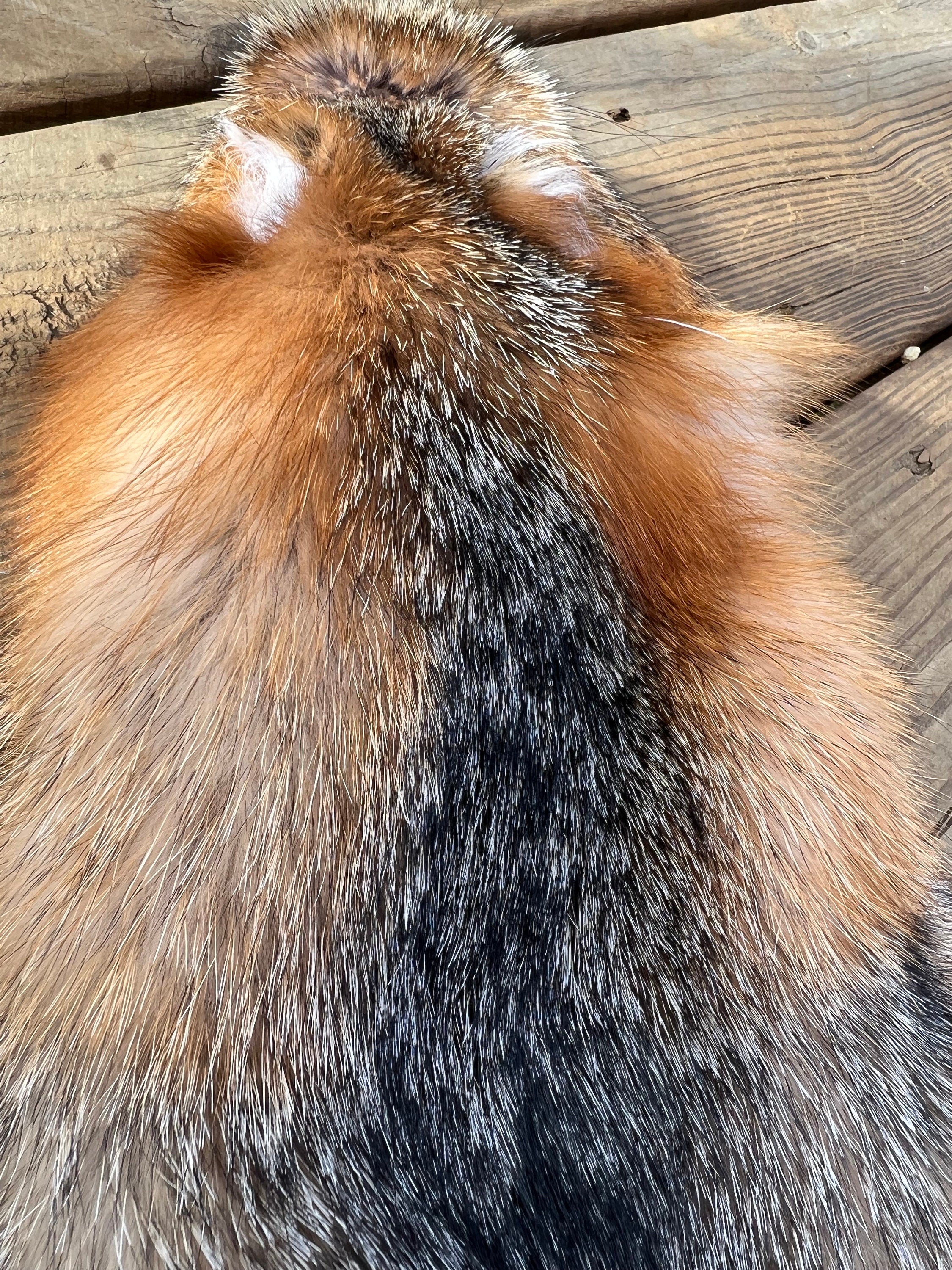Maine Gray Fox Pelt, Prime, Northern, Professionally Soft Tanned