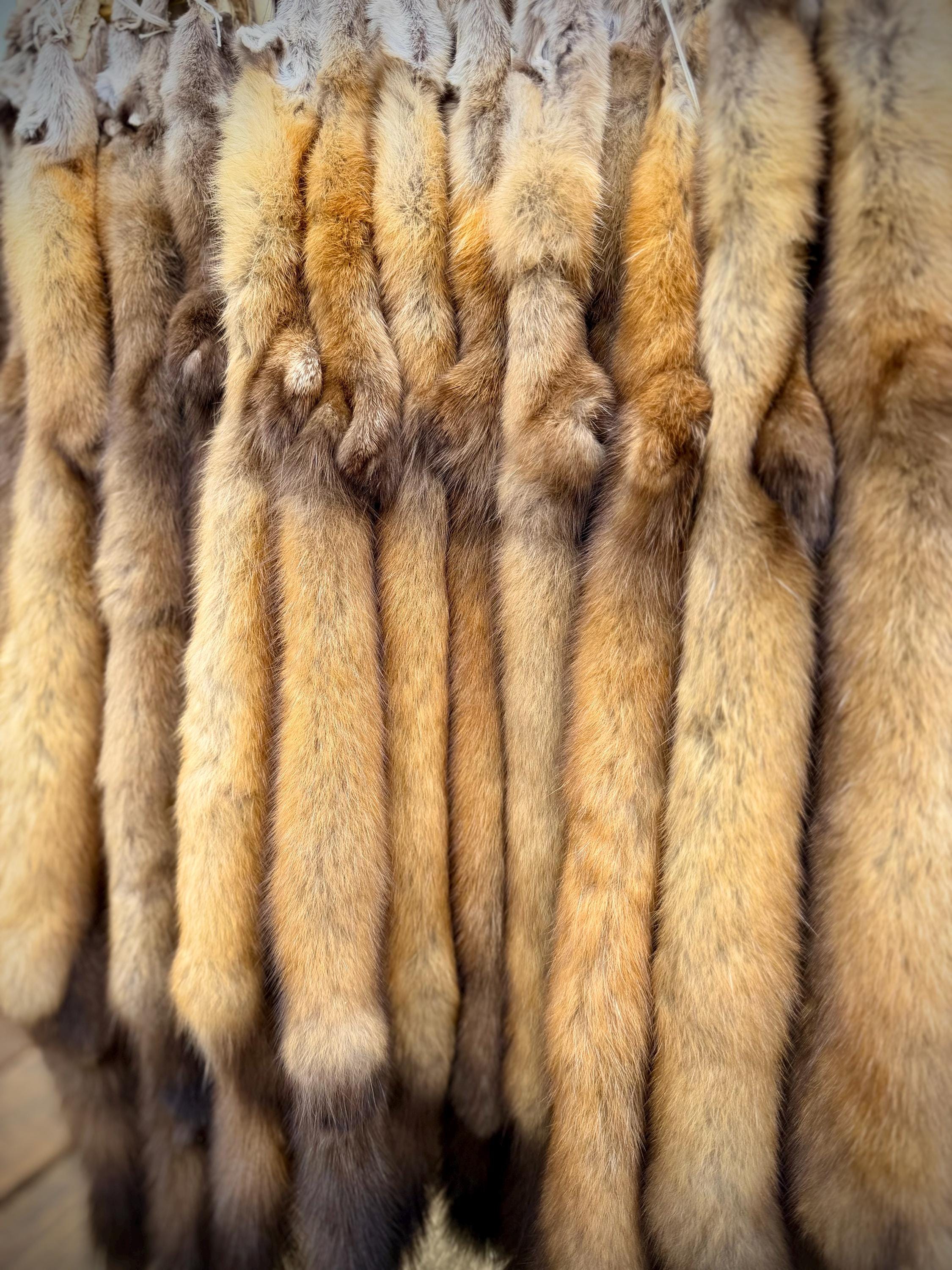 Maine Pine Marten/Sable (Light Color Phase) Pelts - Prime, Northern Maine, Professionally Garment Tanned