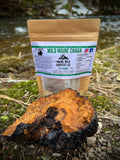 Wild Maine Chaga Tea Bags (25ct) - All Natural