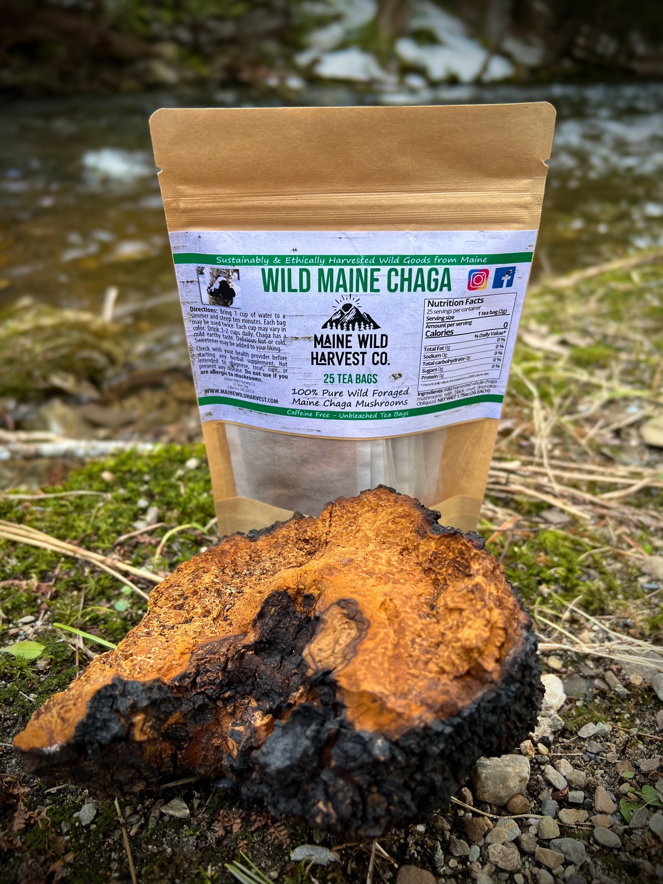 Wild Maine Chaga Tea Bags (25ct) - All Natural