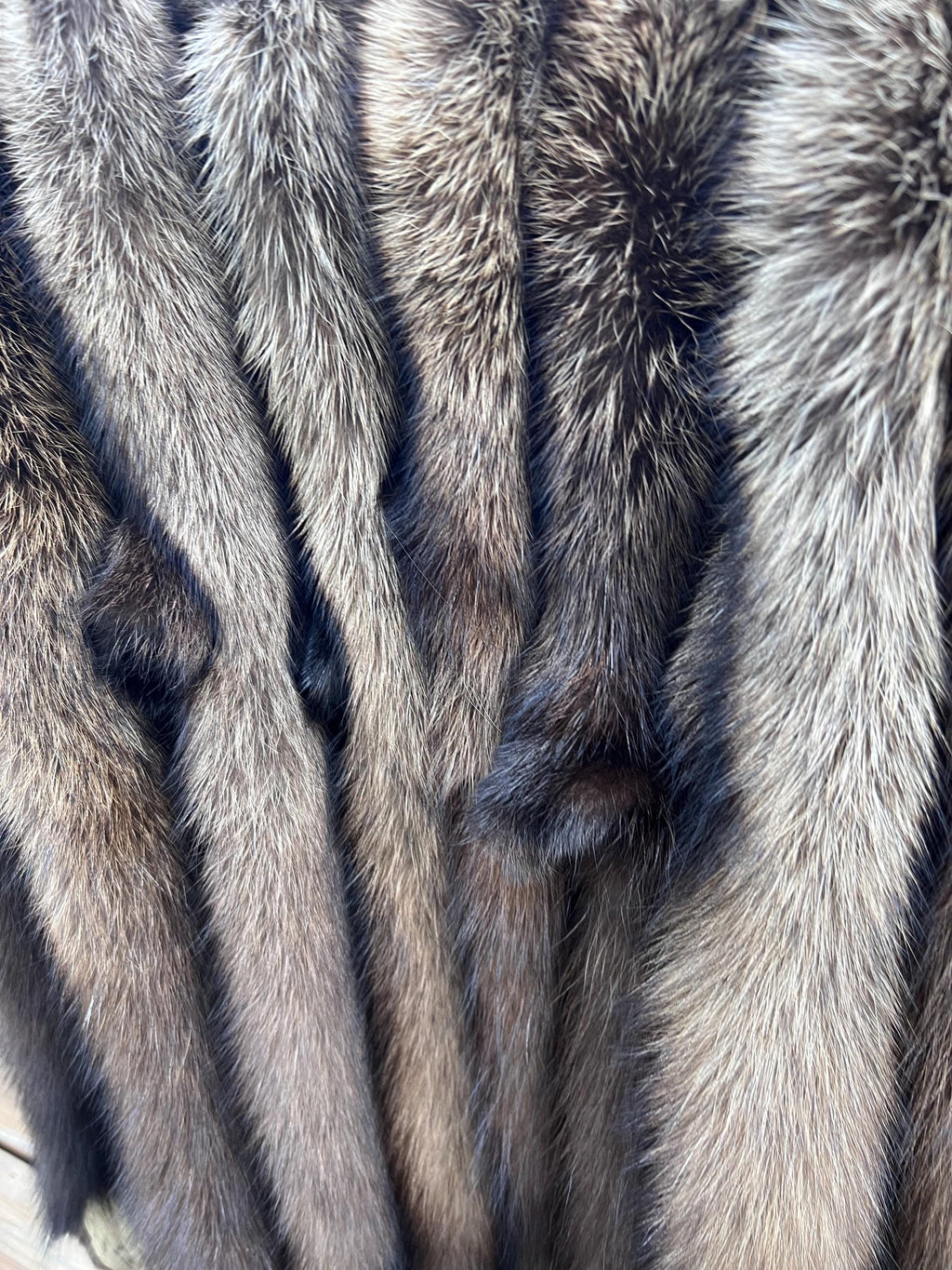 Maine Fisher Pelt (Female) - Prime, Professional Soft Tanned/Garment Tan