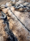 Eastern Coyote Pelt: Prime Wild Fur - Garment Grade, Professionally Soft Tanned