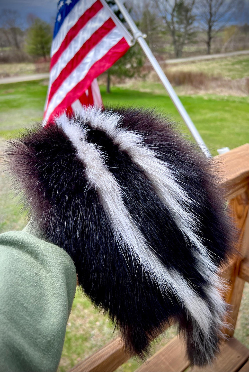Maine Skunk Pelt, Prime Northern Skunk, Professionally Soft Tanned