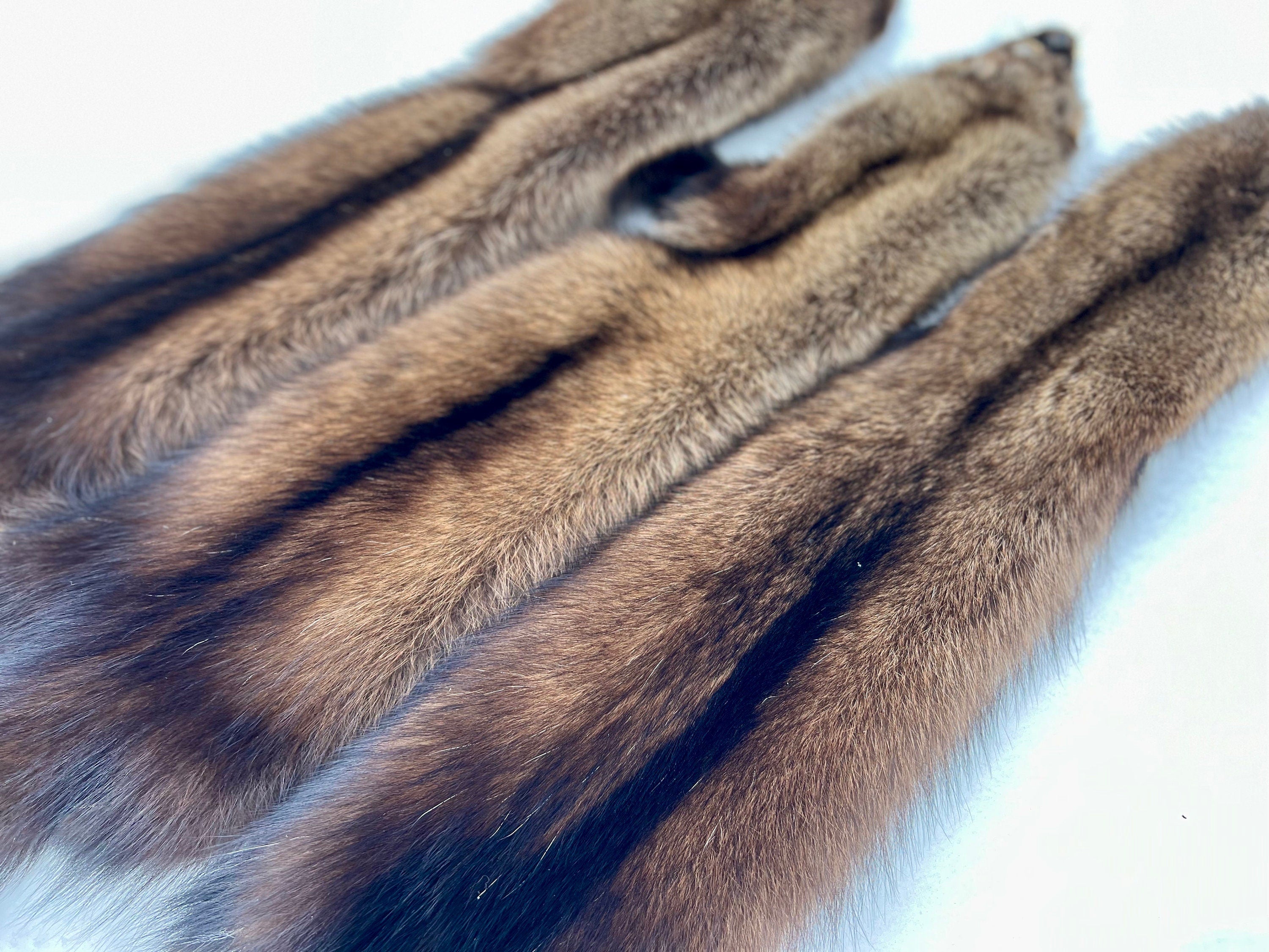 Maine Fisher Pelt (Female) - Prime, Professional Soft Tanned/Garment Tan