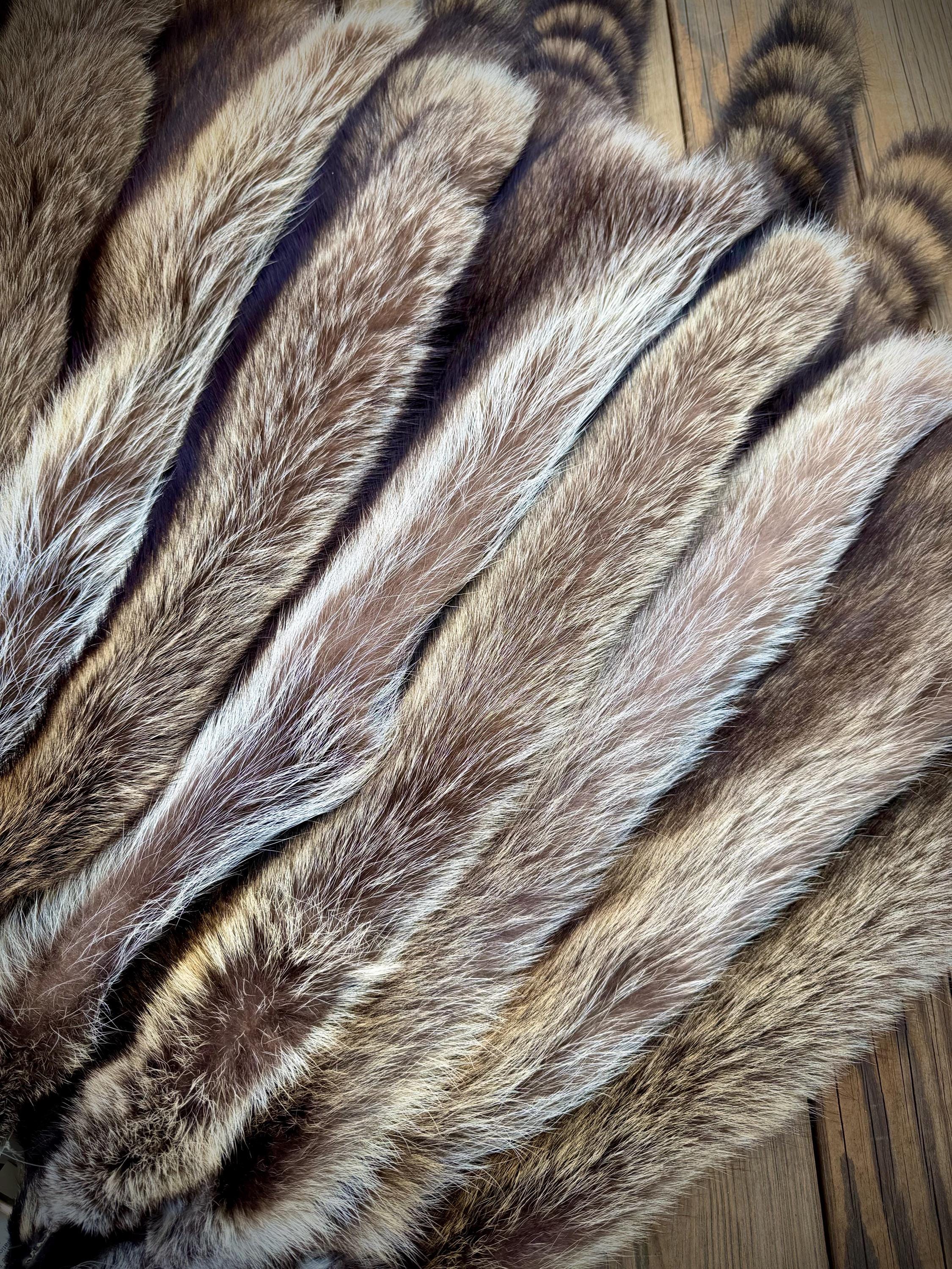 Maine Raccoon Pelt, Prime Northern Heavy Raccoon, Professionally Soft Tanned