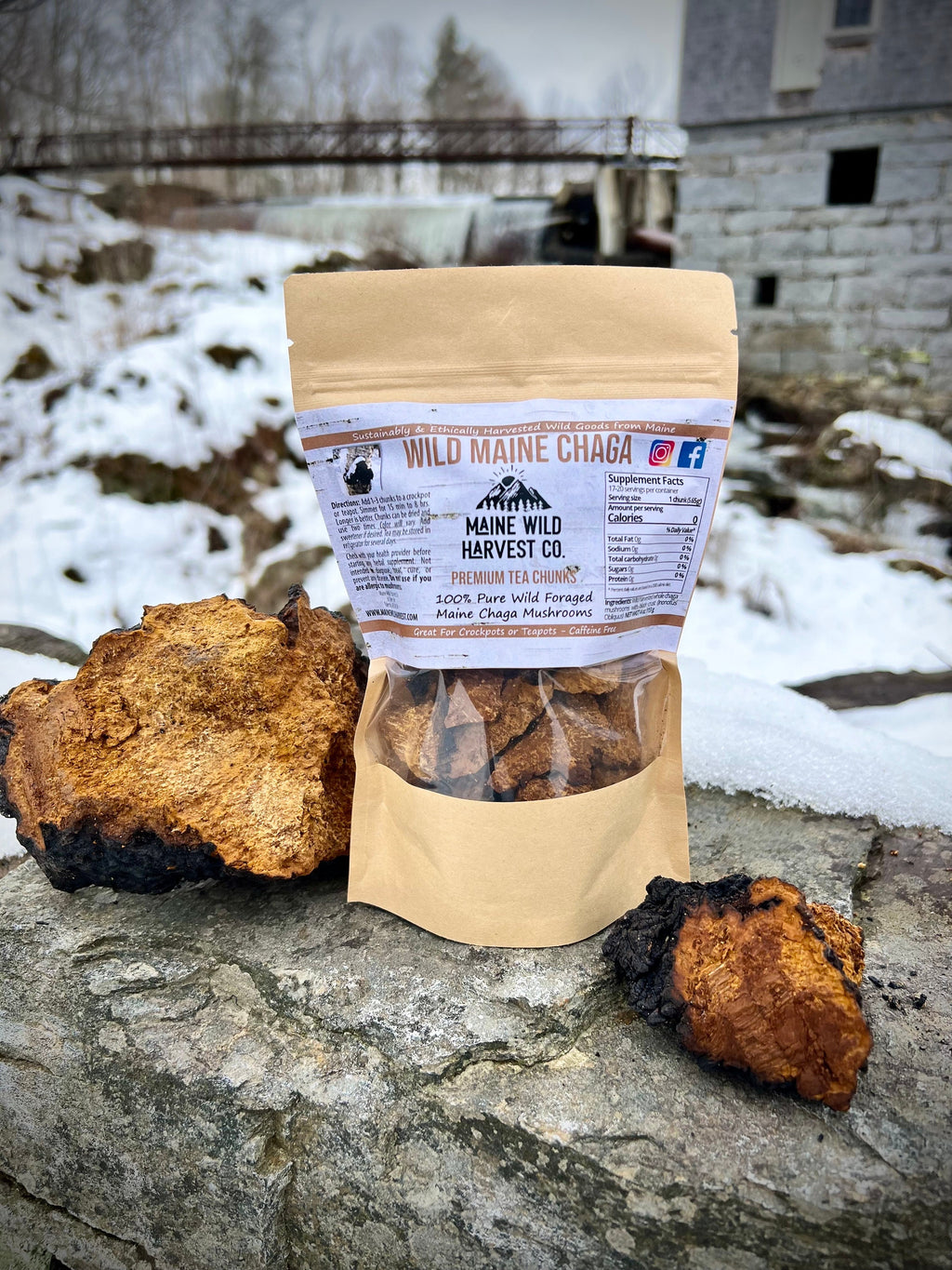 Maine Chaga Chunks (4 oz): Wild Harvested Tea