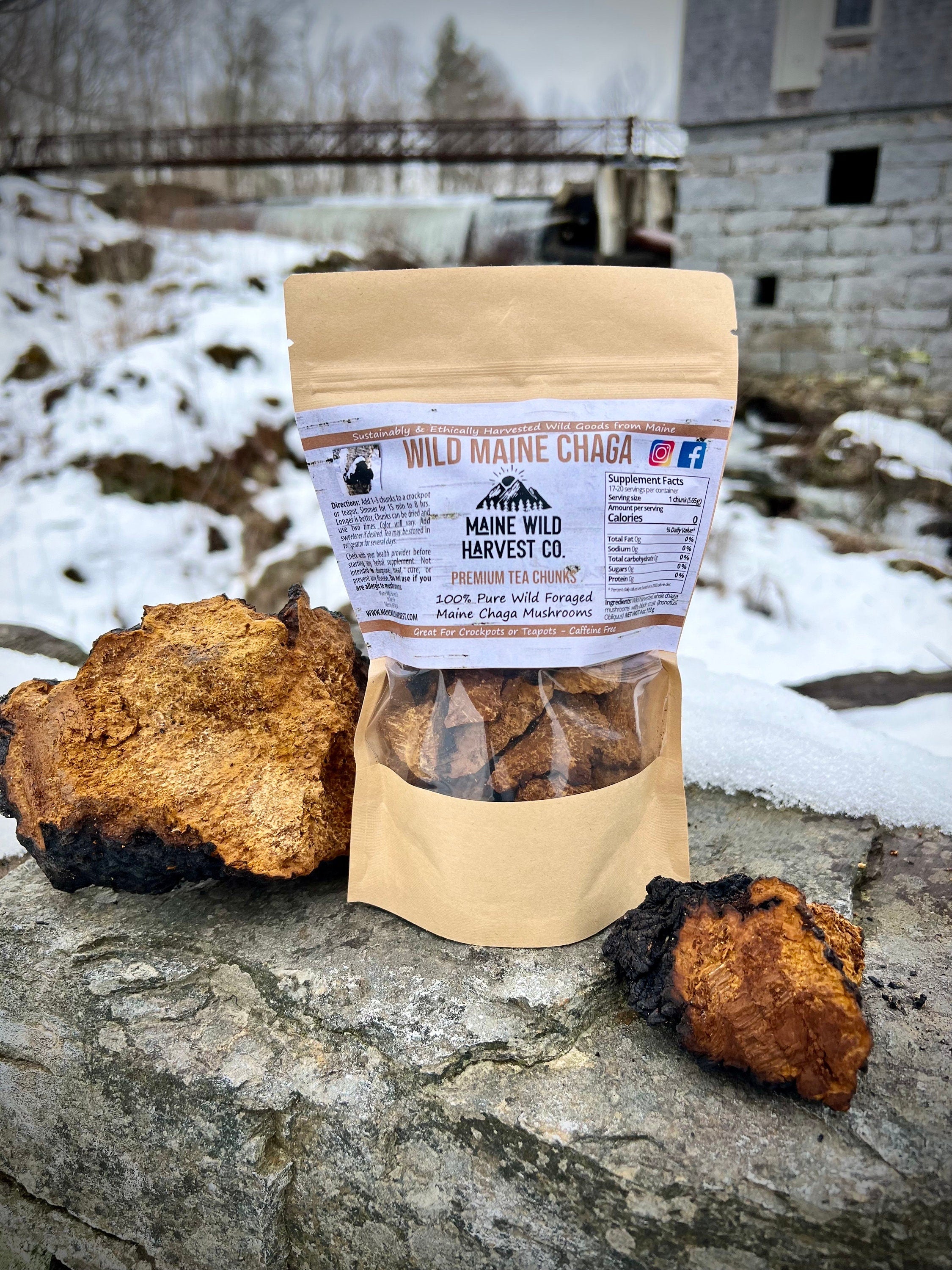 Maine Chaga Chunks (4 oz): Wild Harvested Tea