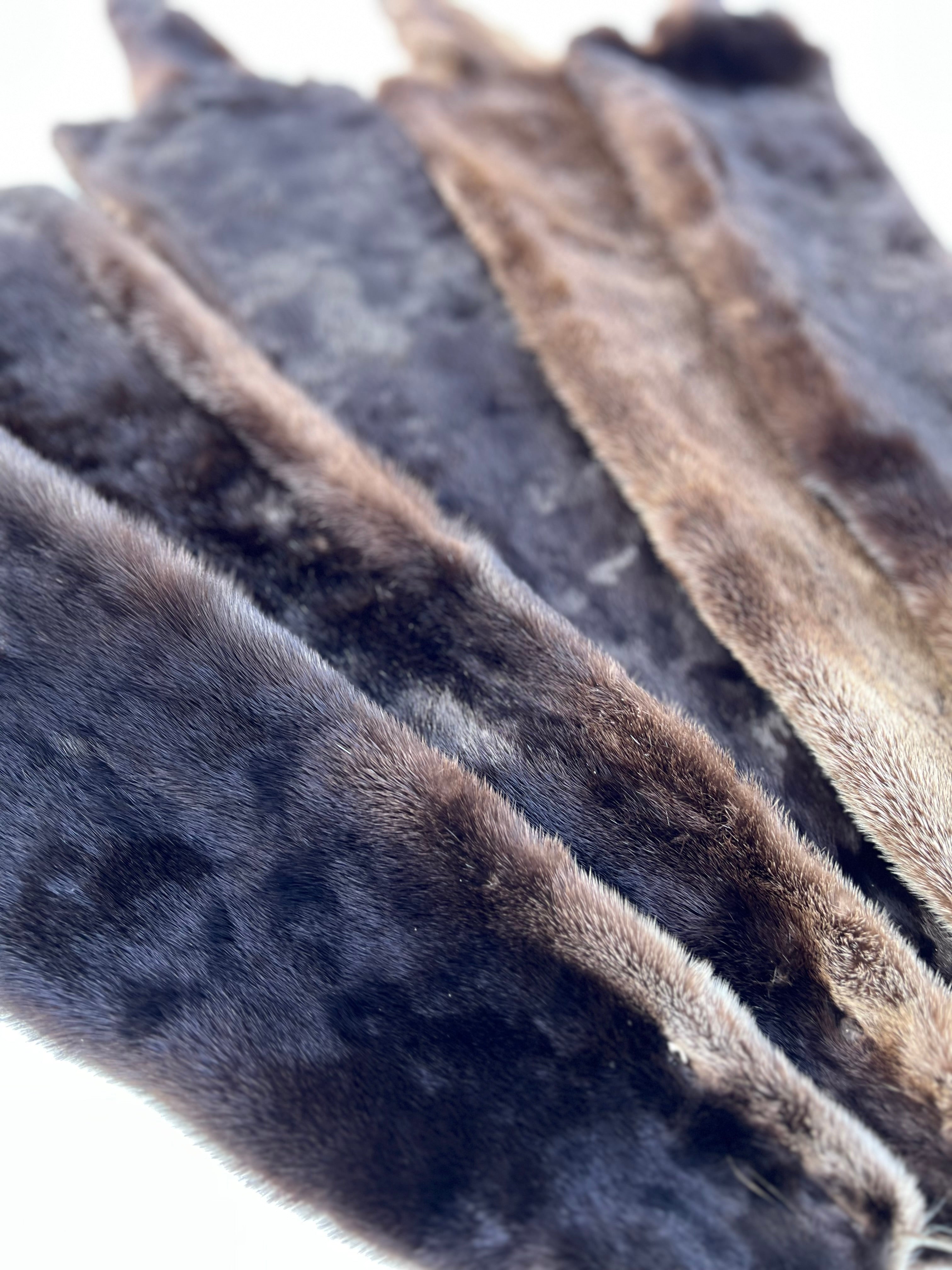 Maine Otter Pelt - Prime, Professionally Soft Tanned/Garment Tanned
