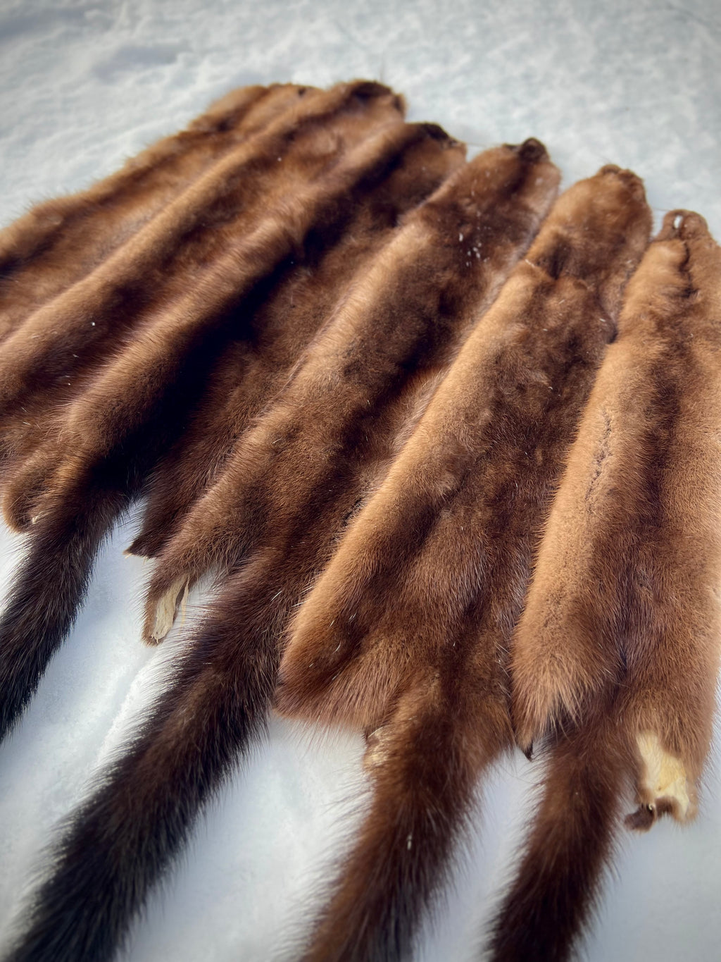 Maine Wild Mink Pelt - Prime, Professionally Garment Soft Tanned