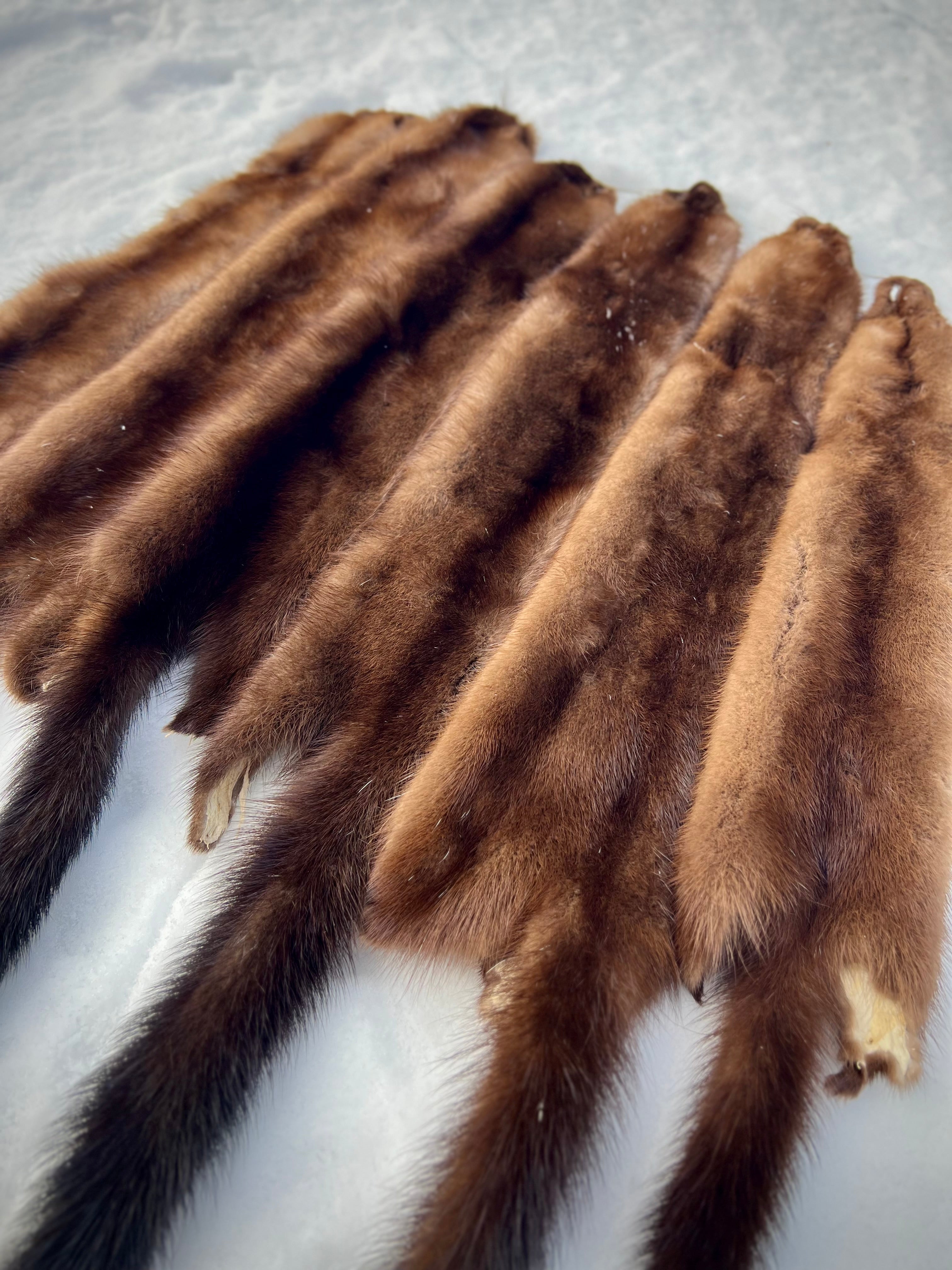 Maine Wild Mink Pelt - Prime, Professionally Garment Soft Tanned