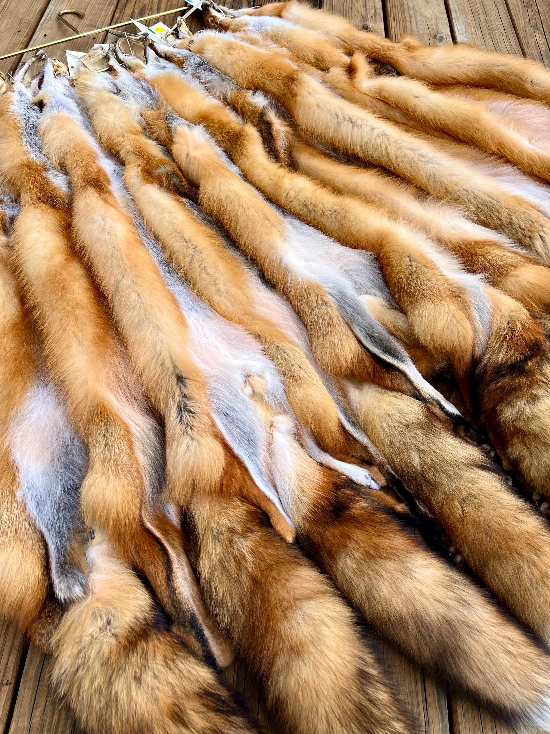 Maine Red Fox Pelt, Prime, Professionally Soft Tanned/Garment Tanned