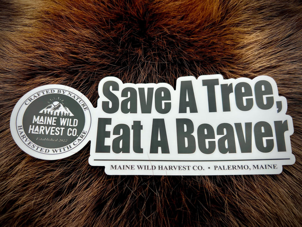 Save A Tree, Eat A Beaver Sticker - 7.5” x 3”