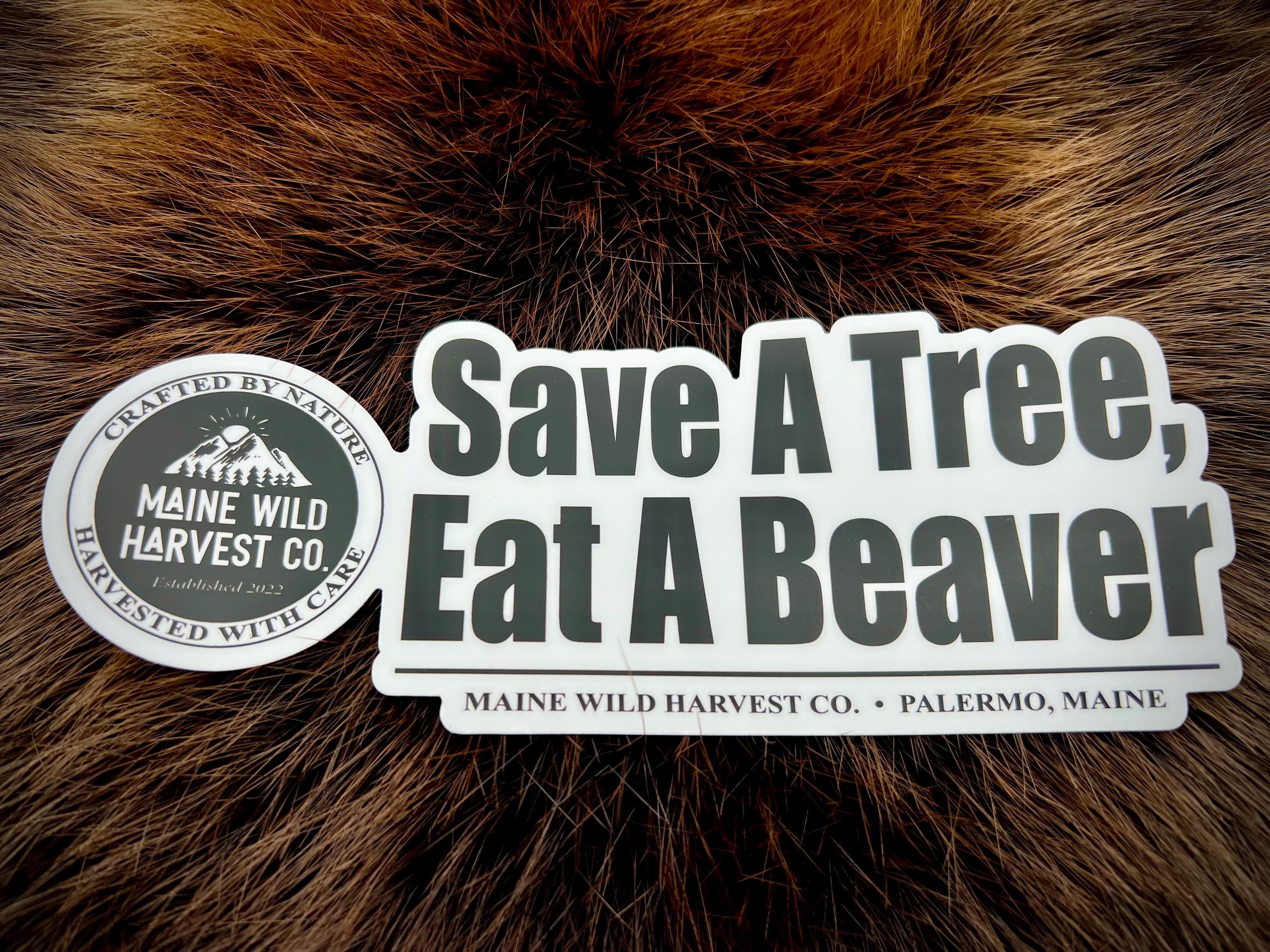 Save A Tree, Eat A Beaver Sticker - 7.5” x 3”