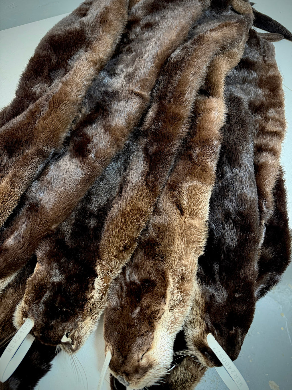 Maine Otter Pelt - Prime, Professionally Soft Tanned/Garment Tanned