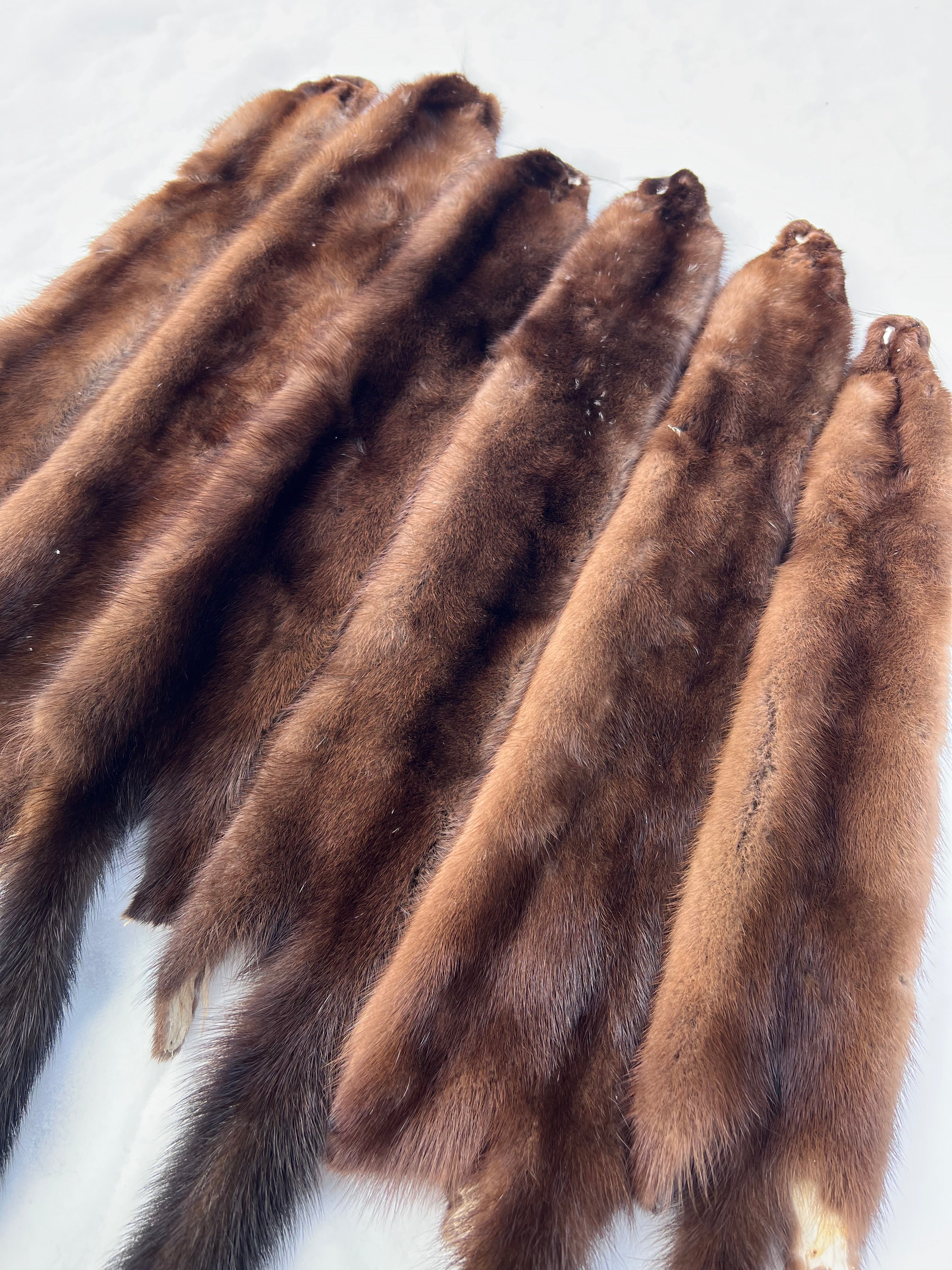 Maine Wild Mink Pelt - Prime, Professionally Garment Soft Tanned