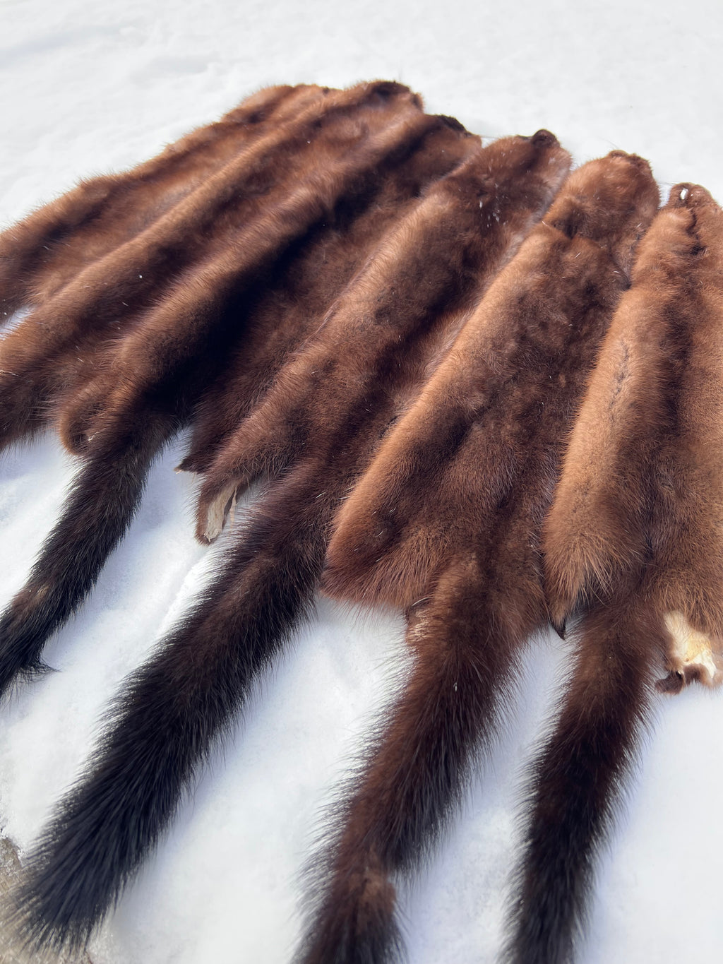 Maine Wild Mink Pelt - Prime, Professionally Garment Soft Tanned