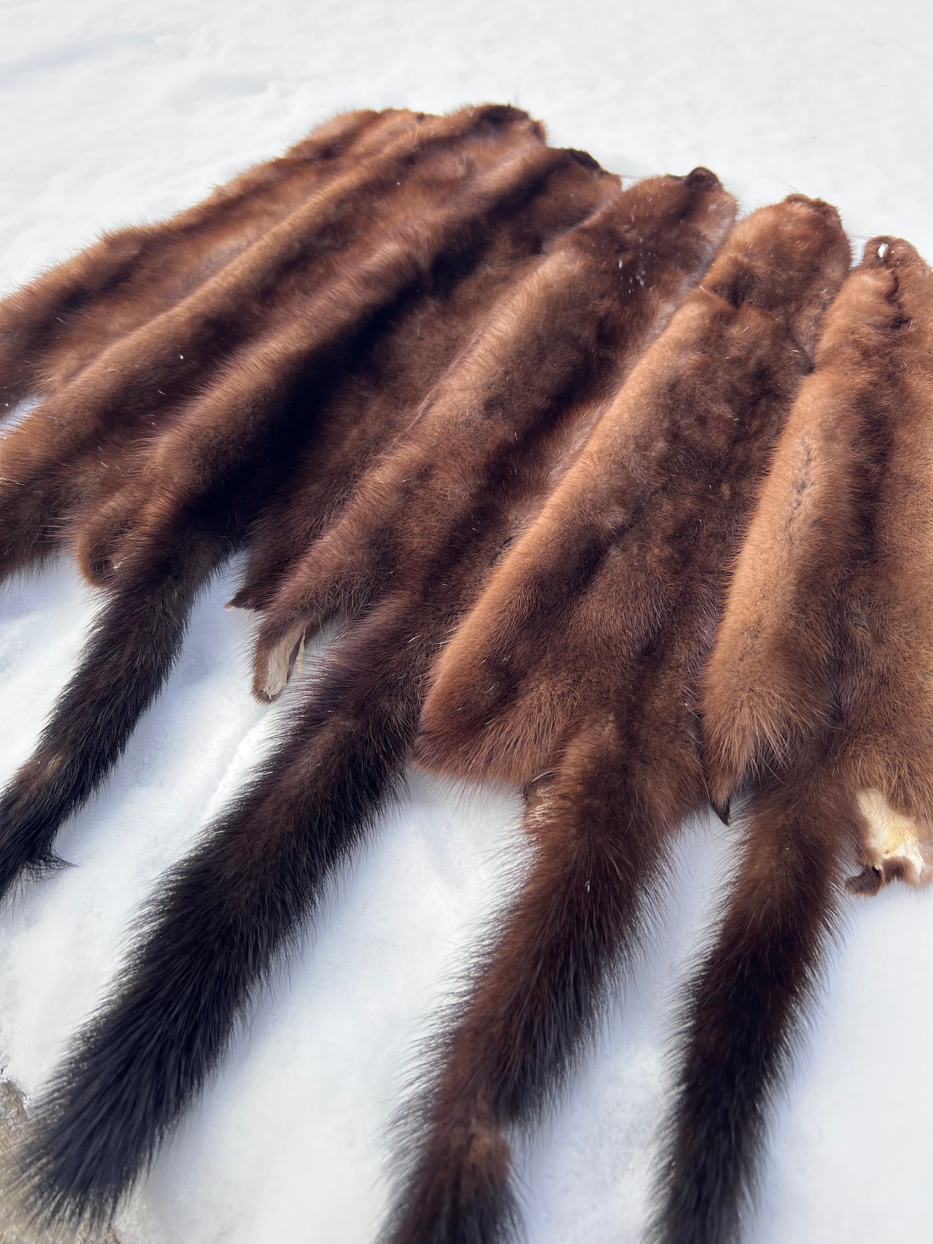 Maine Wild Mink Pelt - Prime, Professionally Garment Soft Tanned