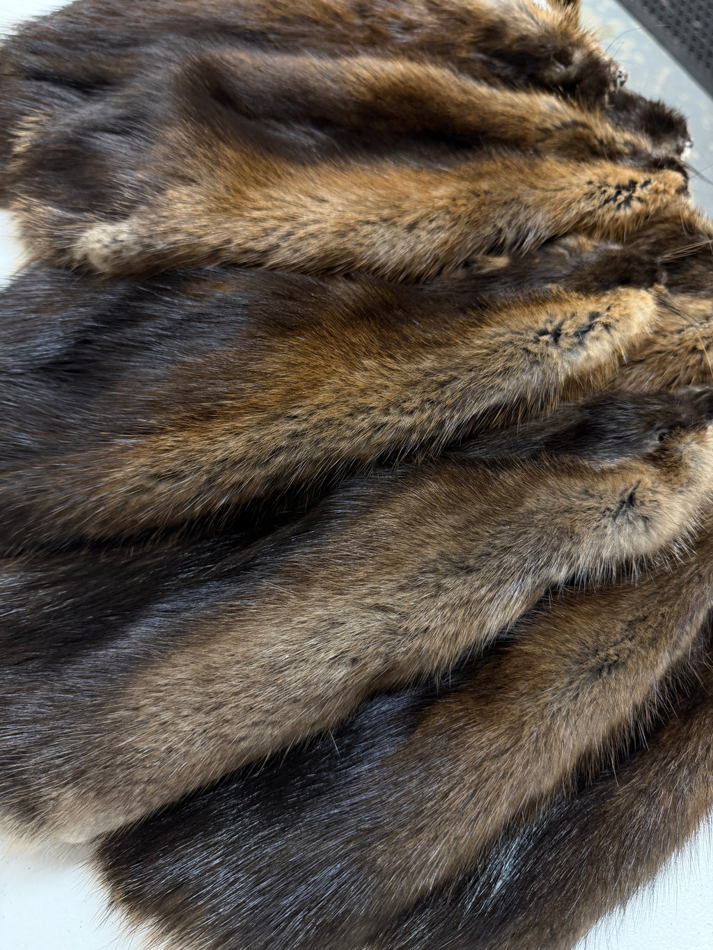 Maine Muskrat Pelt - Prime, Professionally Garment Soft Tanned