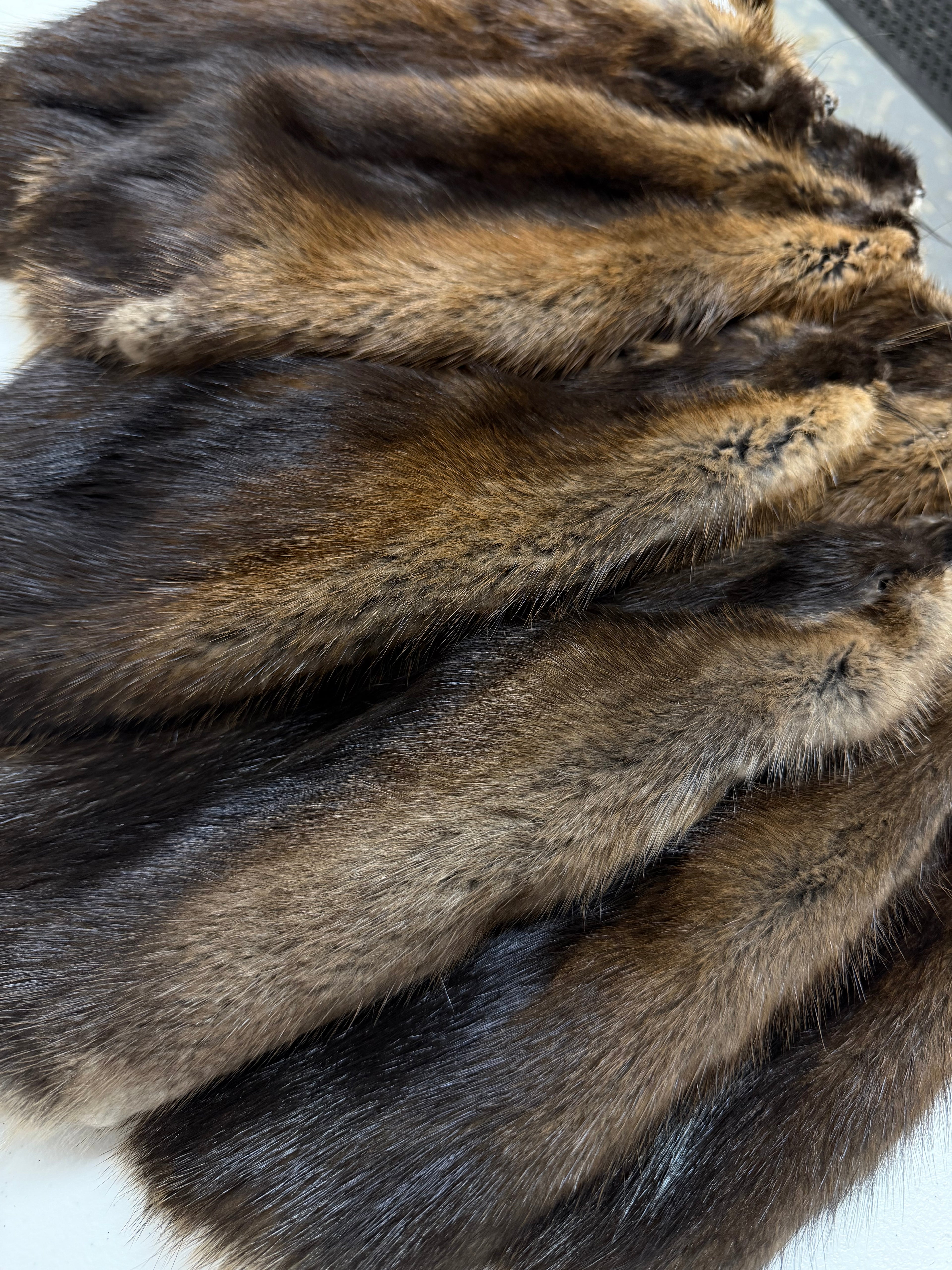 Maine Muskrat Pelt - Prime, Professionally Garment Soft Tanned