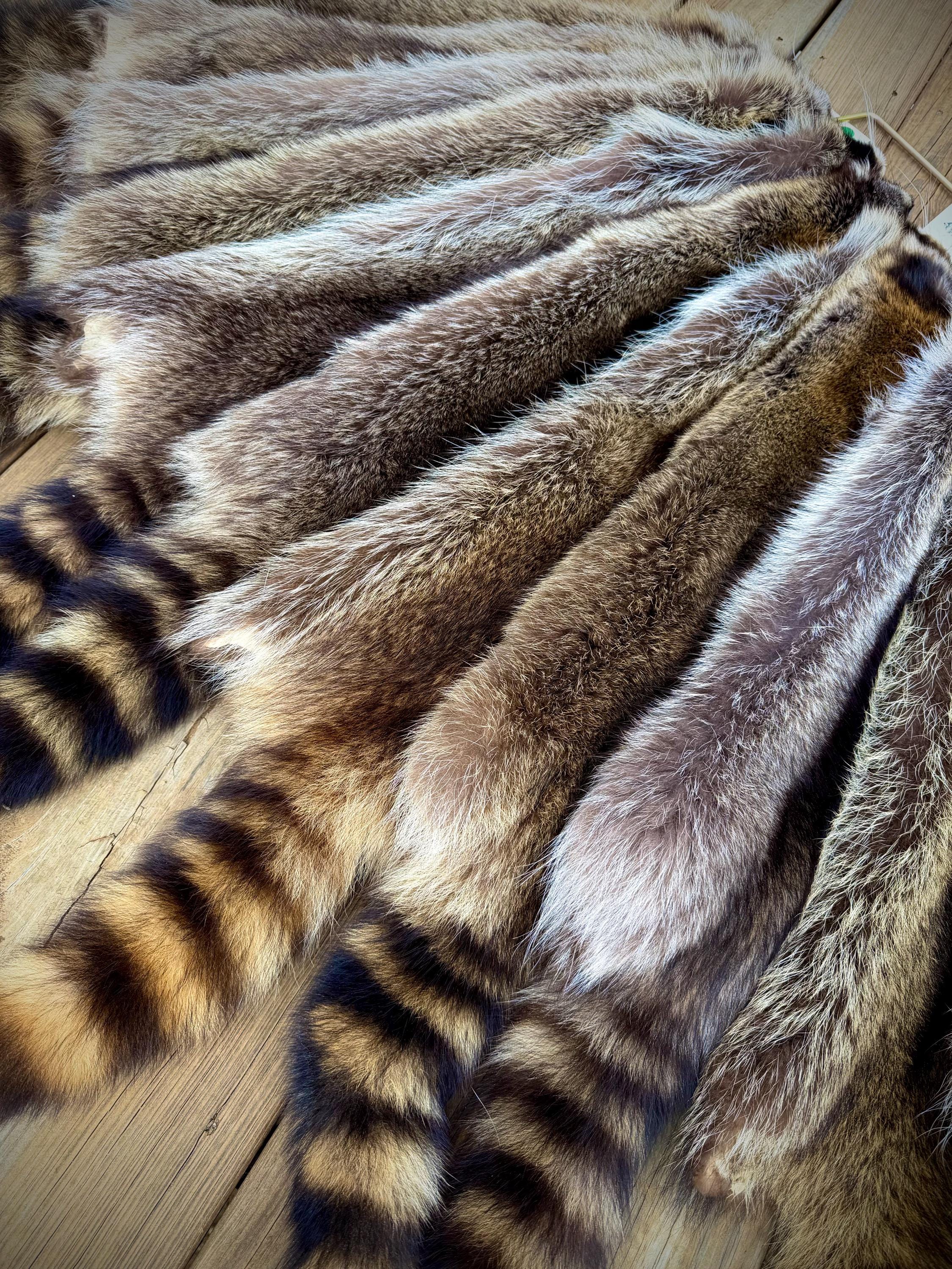 Maine Raccoon Pelt, Prime Northern Heavy Raccoon, Professionally Soft Tanned