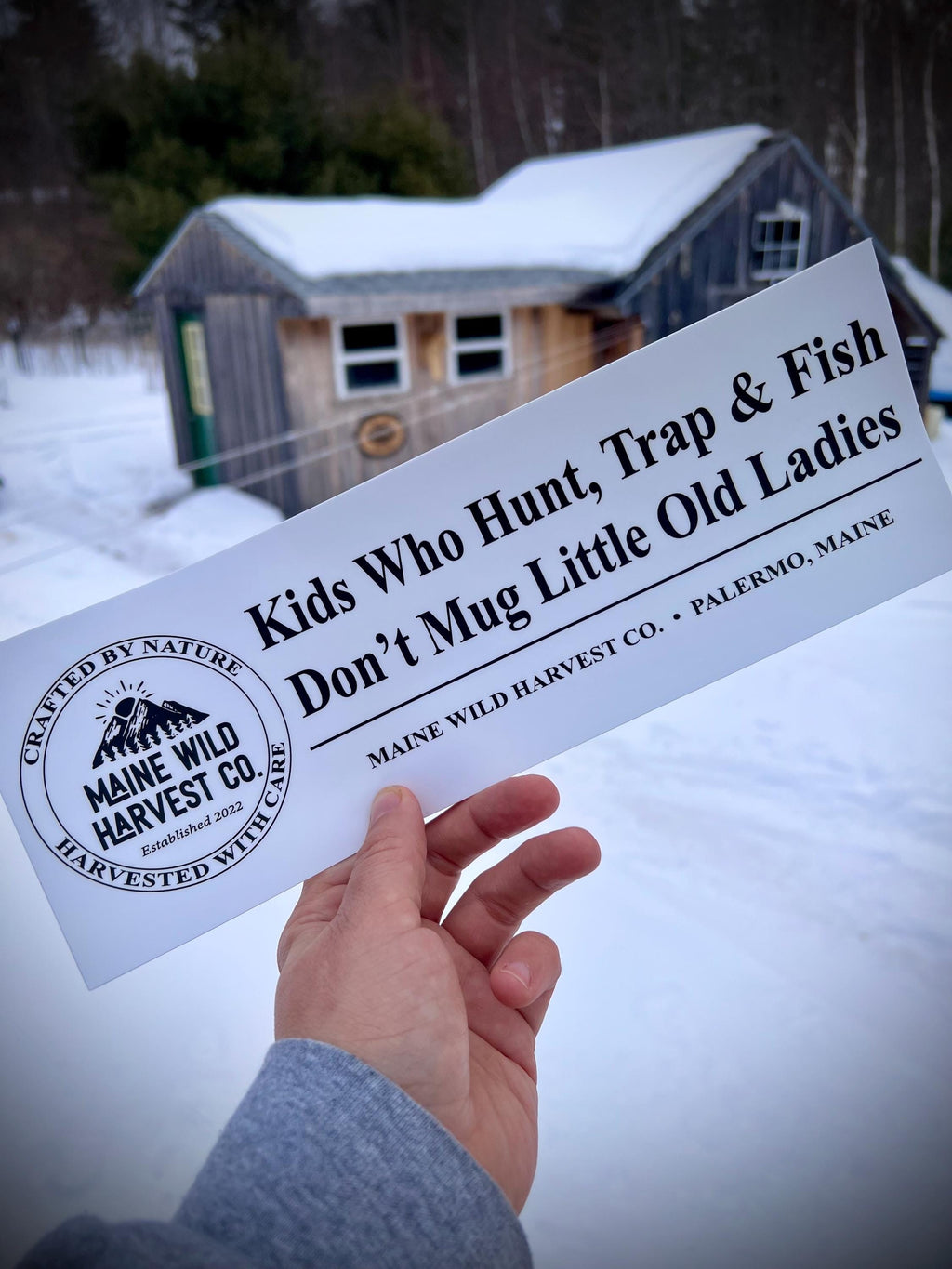 Kids Who Hunt, Trap & Fish Bumper Sticker (11.5” x 4”)