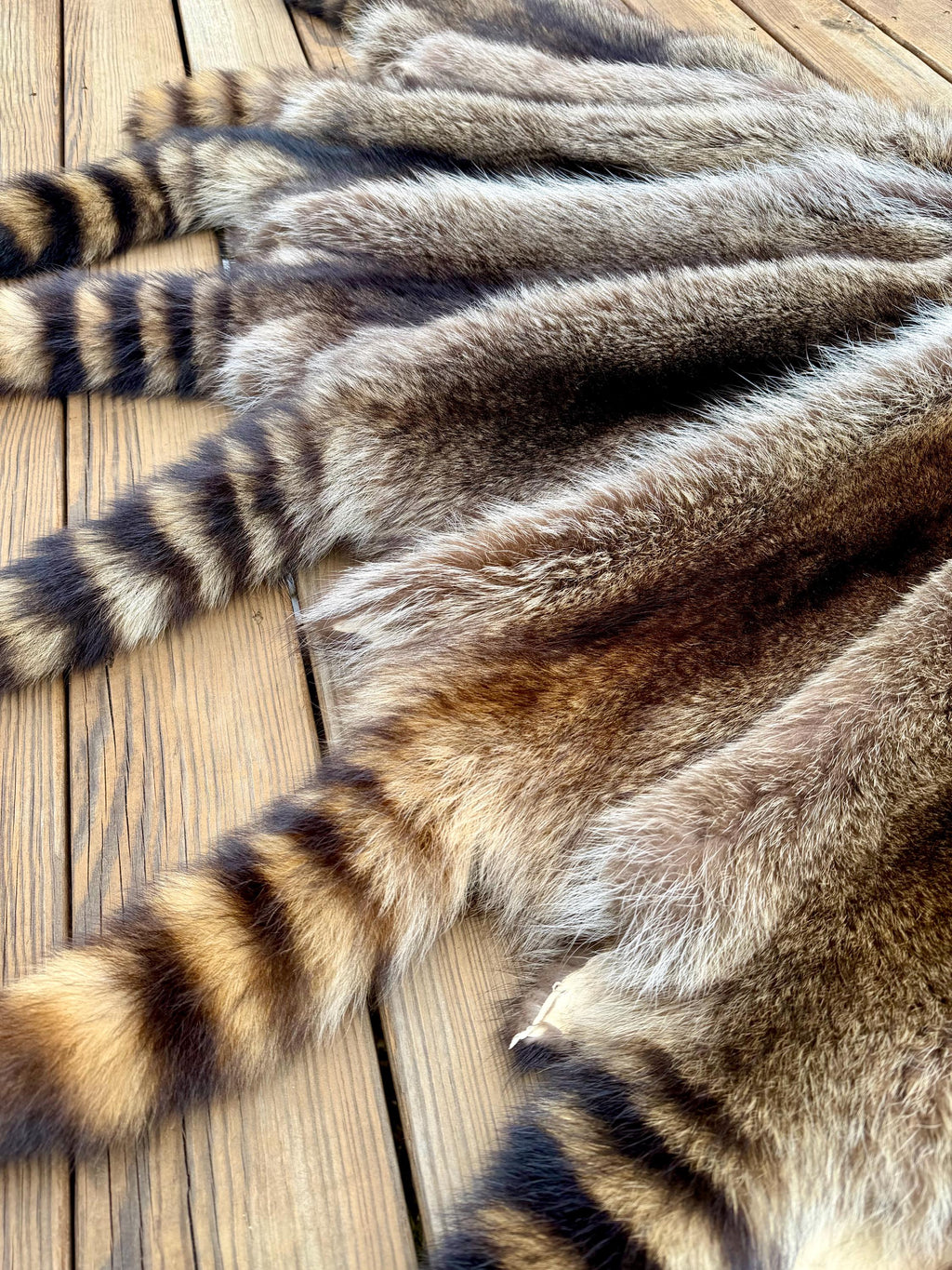 Maine Raccoon Pelt, Prime Northern Heavy Raccoon, Professionally Soft Tanned