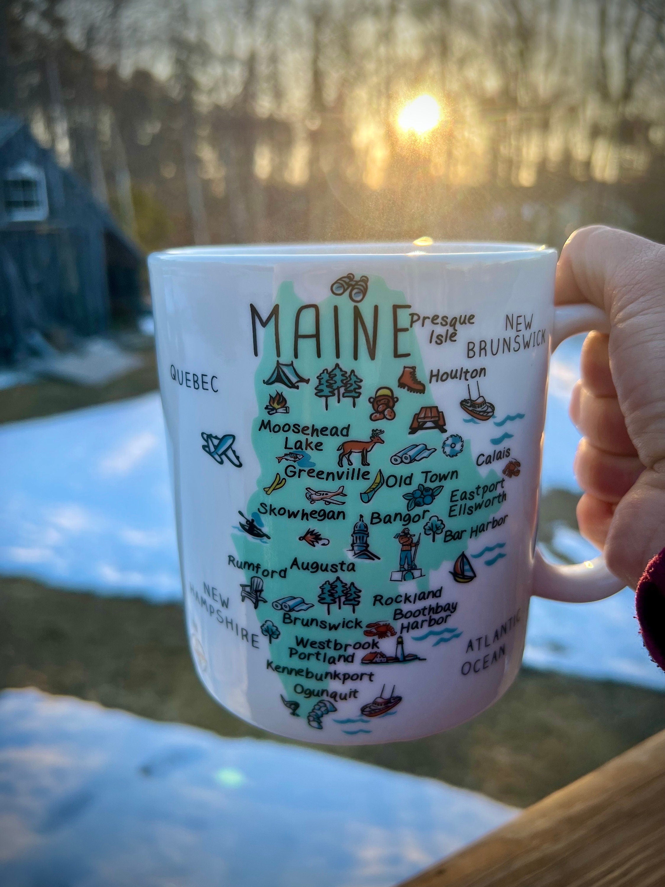 Maine Chaga Chunks (4 oz): Wild Harvested Tea
