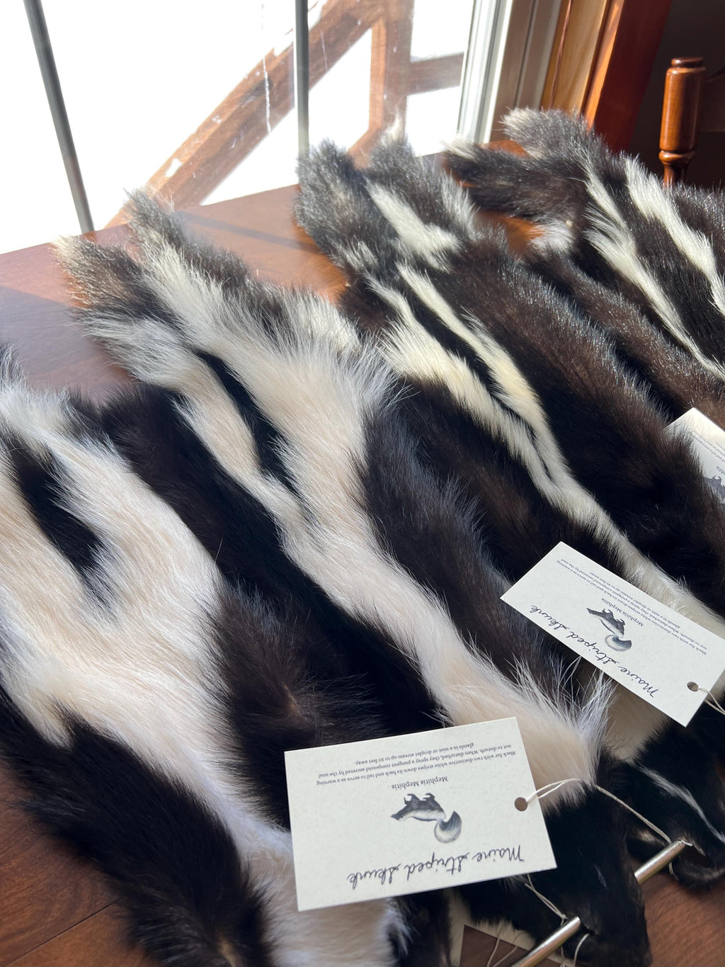 Maine Skunk Pelt, Prime Northern Skunk, Professionally Soft Tanned