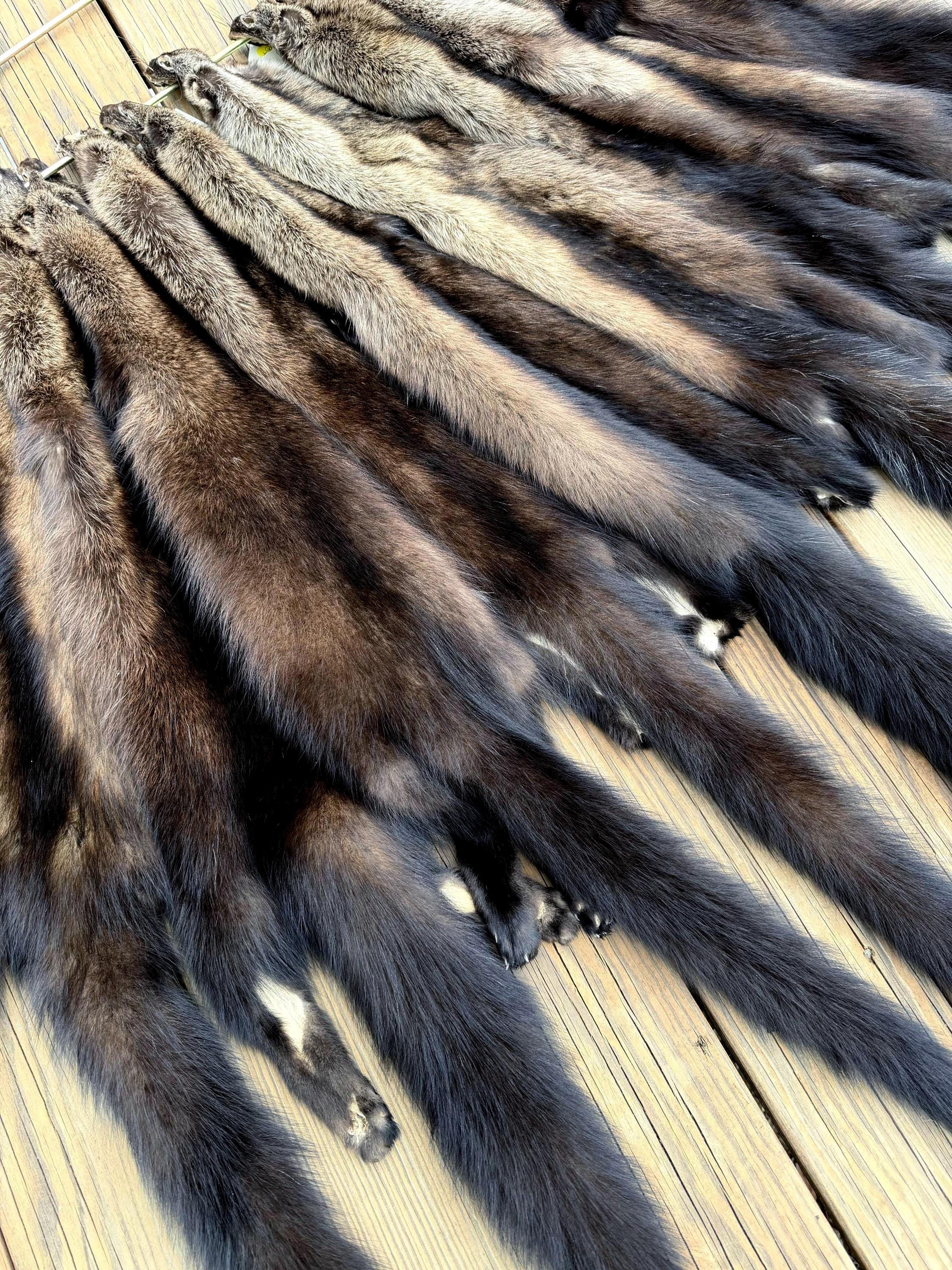 garment tanned prime maine fisher pelts