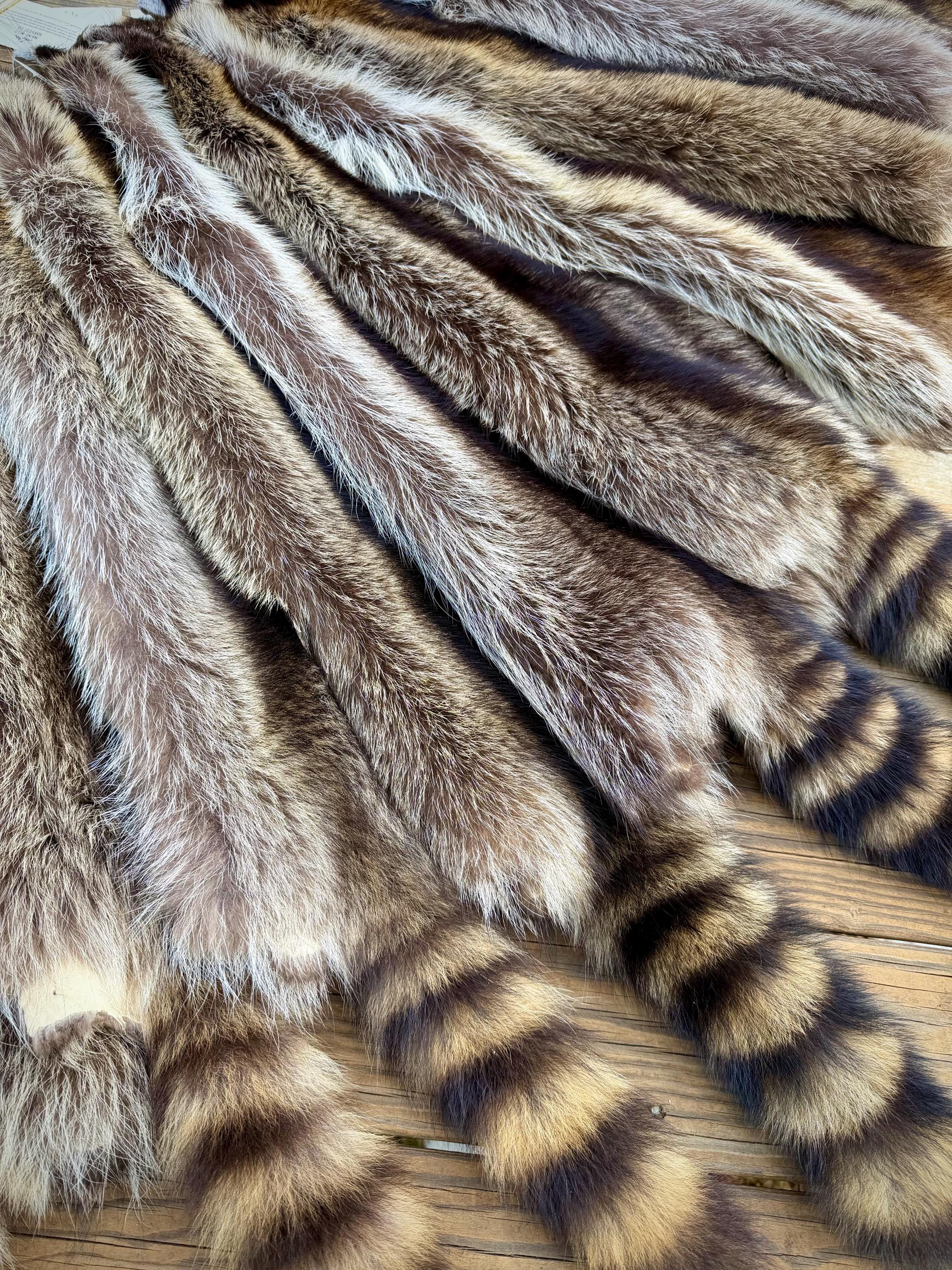 Maine Raccoon Pelt, Prime Northern Heavy Raccoon, Professionally Soft Tanned