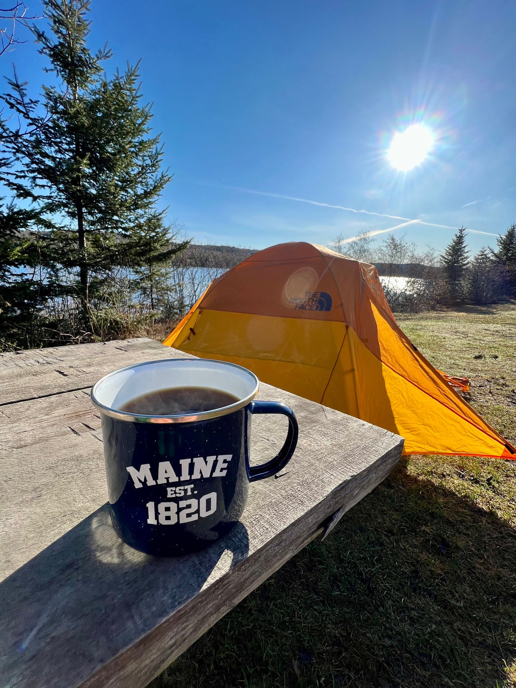 Maine Chaga Chunks (4 oz): Wild Harvested Tea