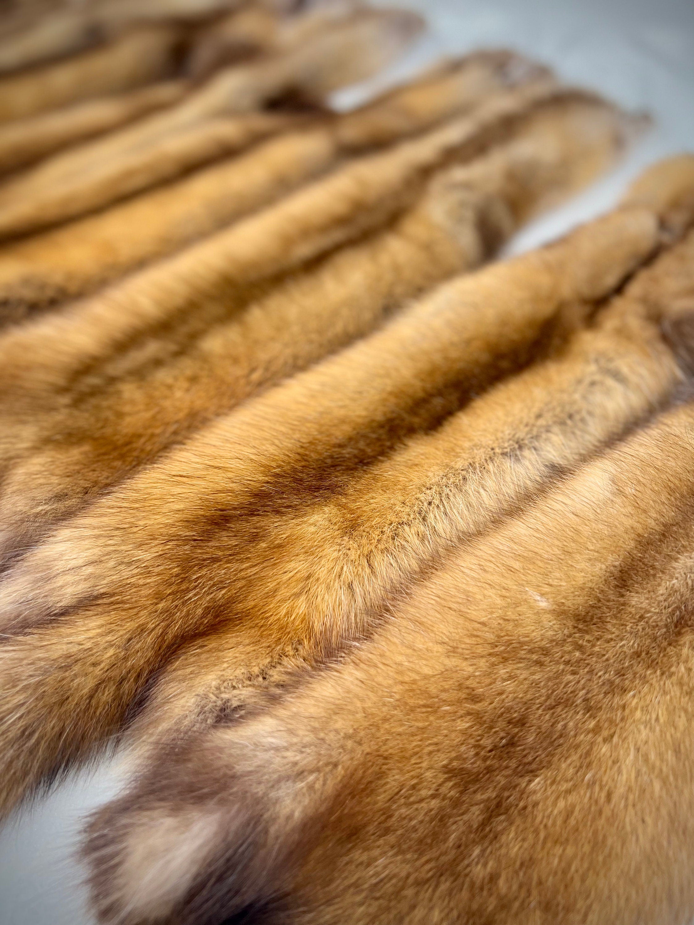 Maine Pine Marten/Sable Pelts -  Prime, Northern Maine, Professionally Soft Tanned