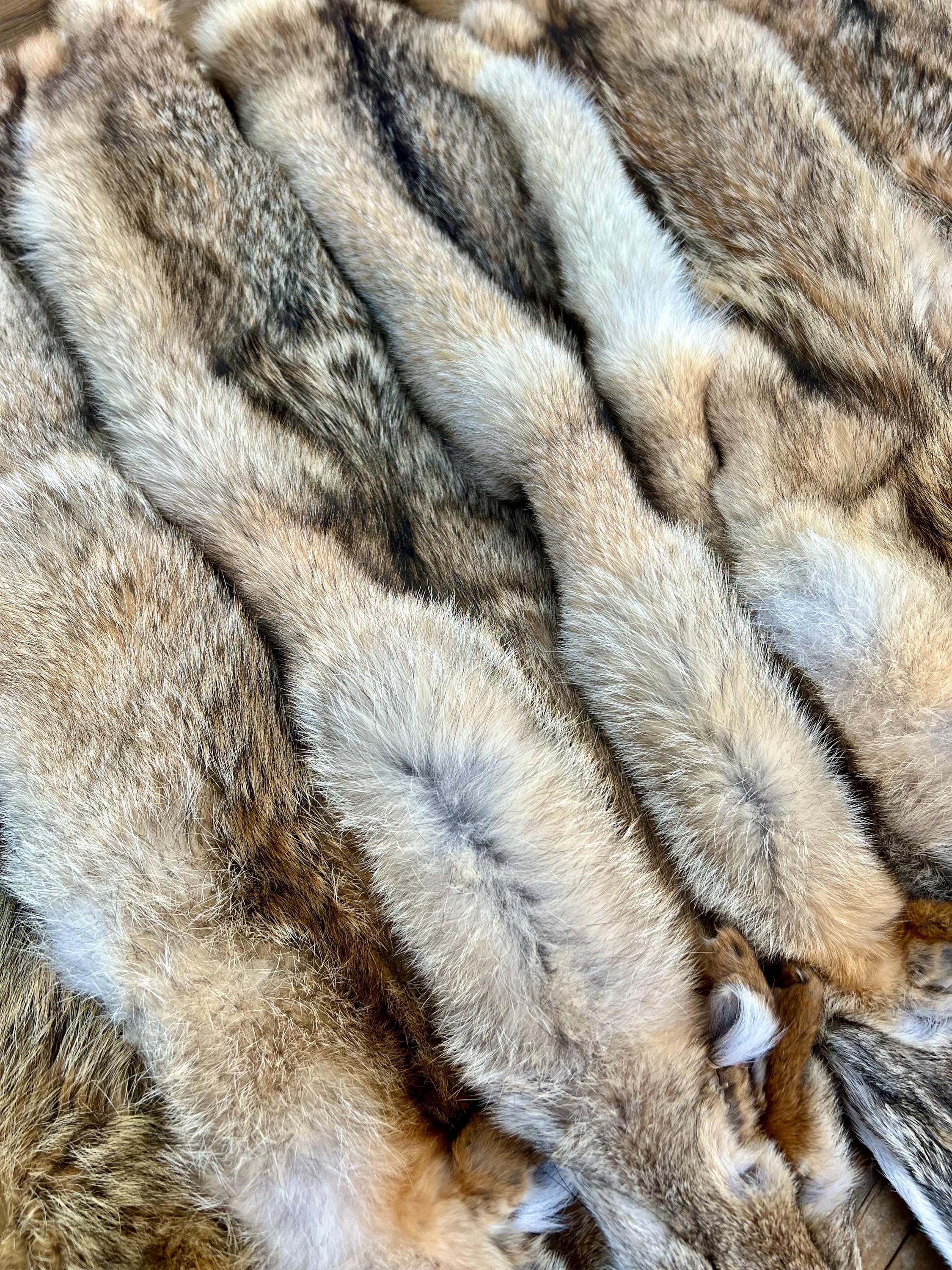 Western Coyote Pelt: Prime Wild Fur, Garment Grade, Professionally Soft Tanned - Limited Edition