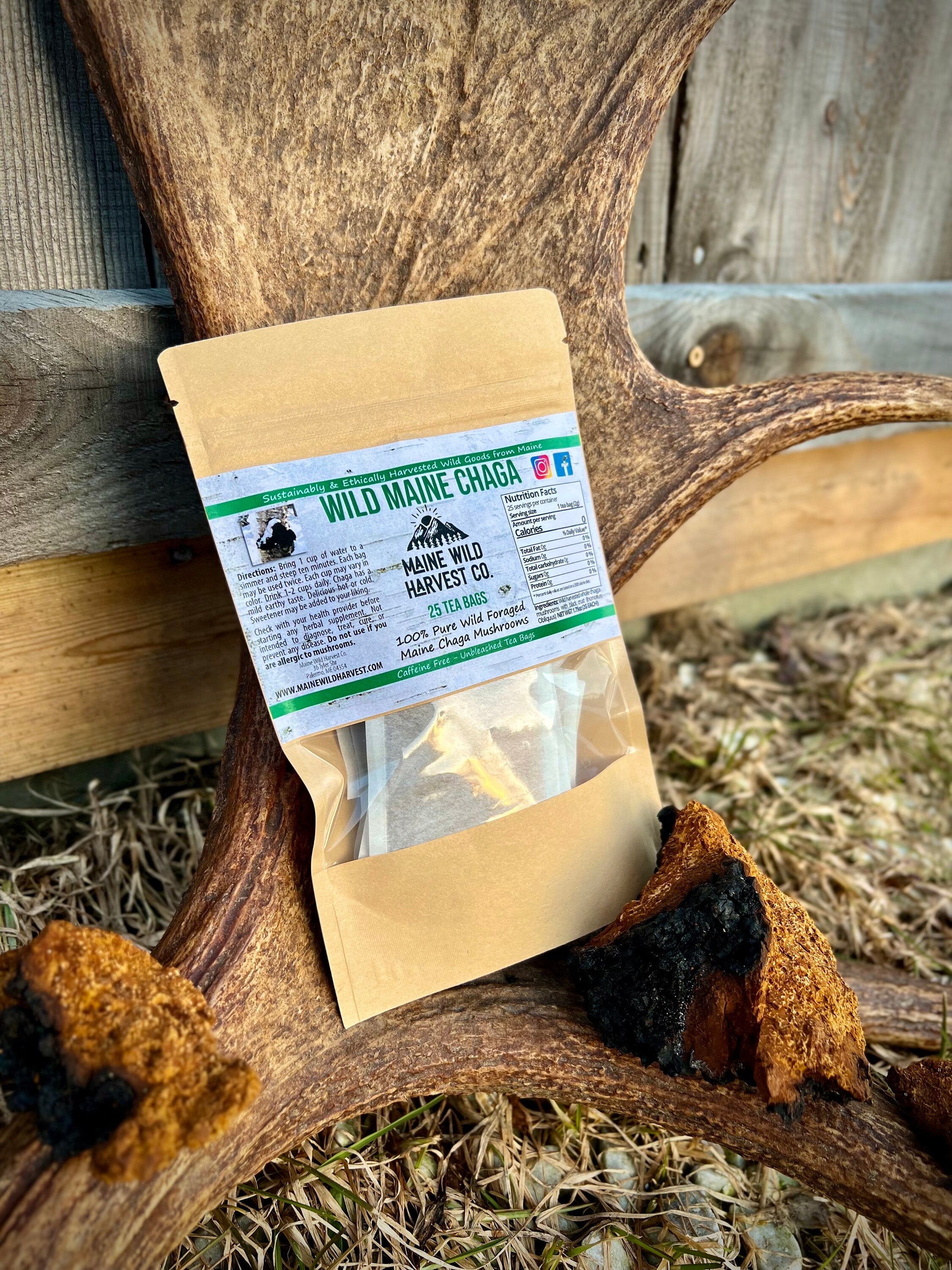 Wild Maine Chaga Tea Bags (25ct) - All Natural
