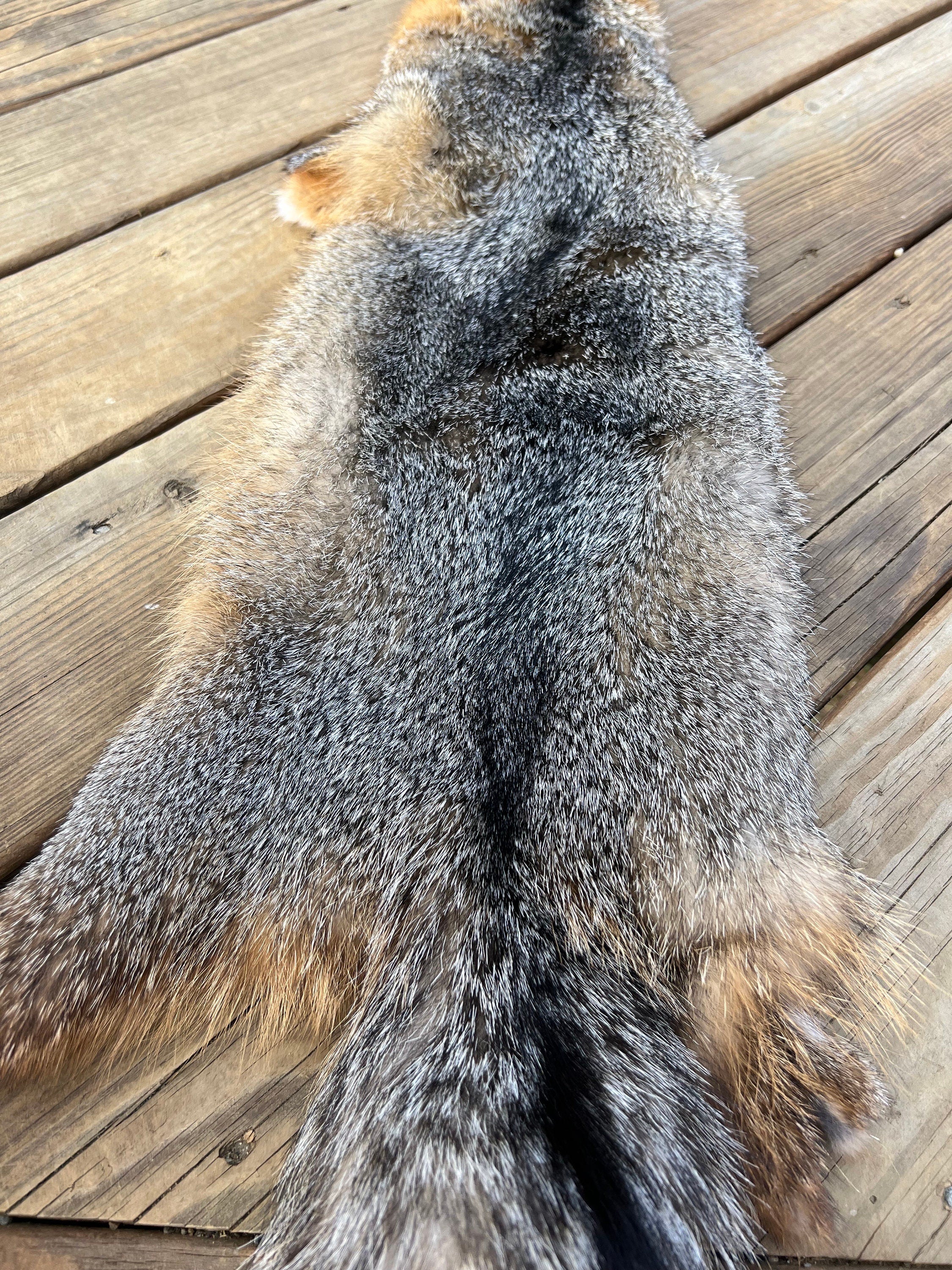 Maine Gray Fox Pelt, Prime, Northern, Professionally Soft Tanned