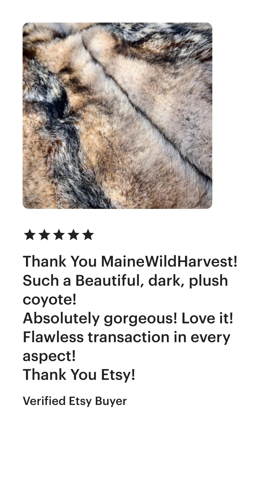 Eastern Coyote Pelt: Prime Wild Fur - Garment Grade, Professionally Soft Tanned